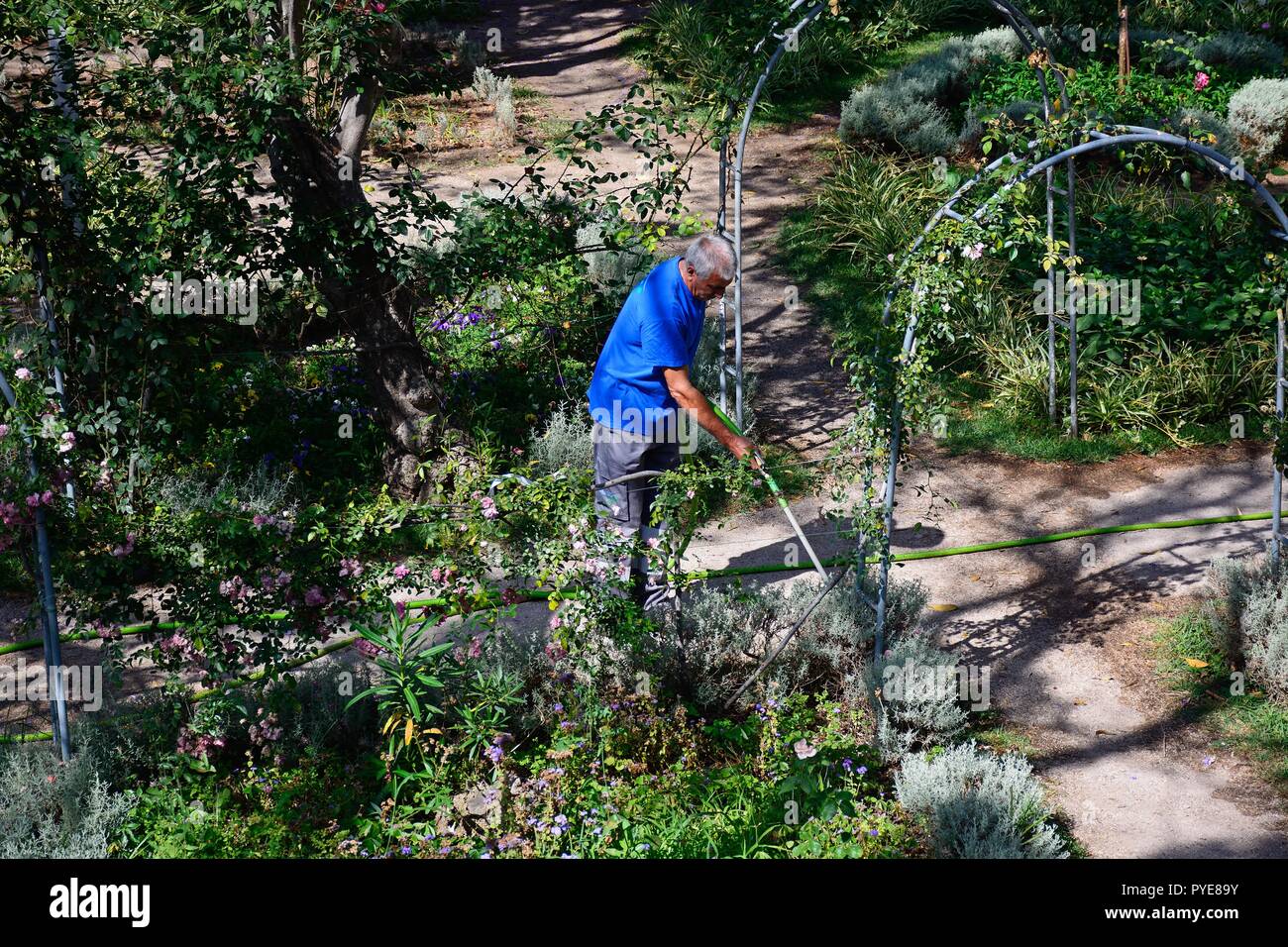 Gardener working in the castle gardens, Tavira, Algarve, Portugal, Europe. Stock Photo