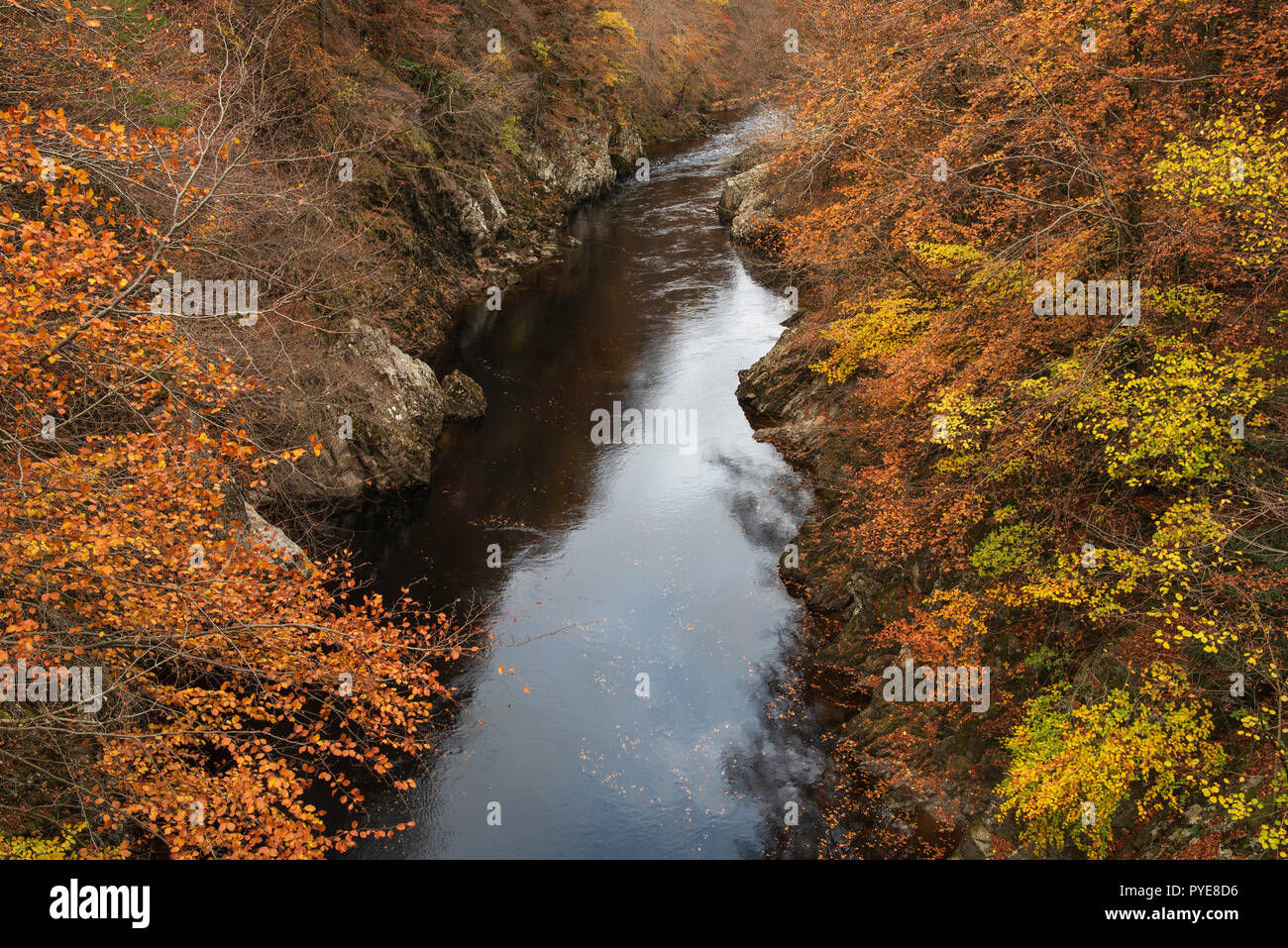 View from the footbridge over the River Garry, Killiecrankie Gorge, Perthshire, Scotland. Stock Photo