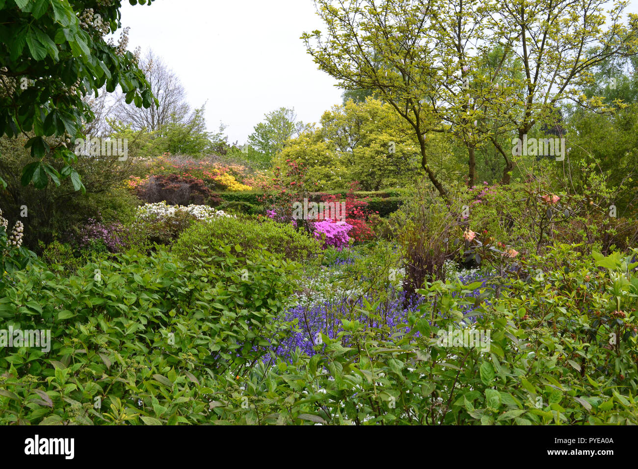 A view across Emmetts Garden in Ide Hill, Kent, England. Renowned for bluebells, the NT garden is high on the North Downs Greensand escarpment Stock Photo