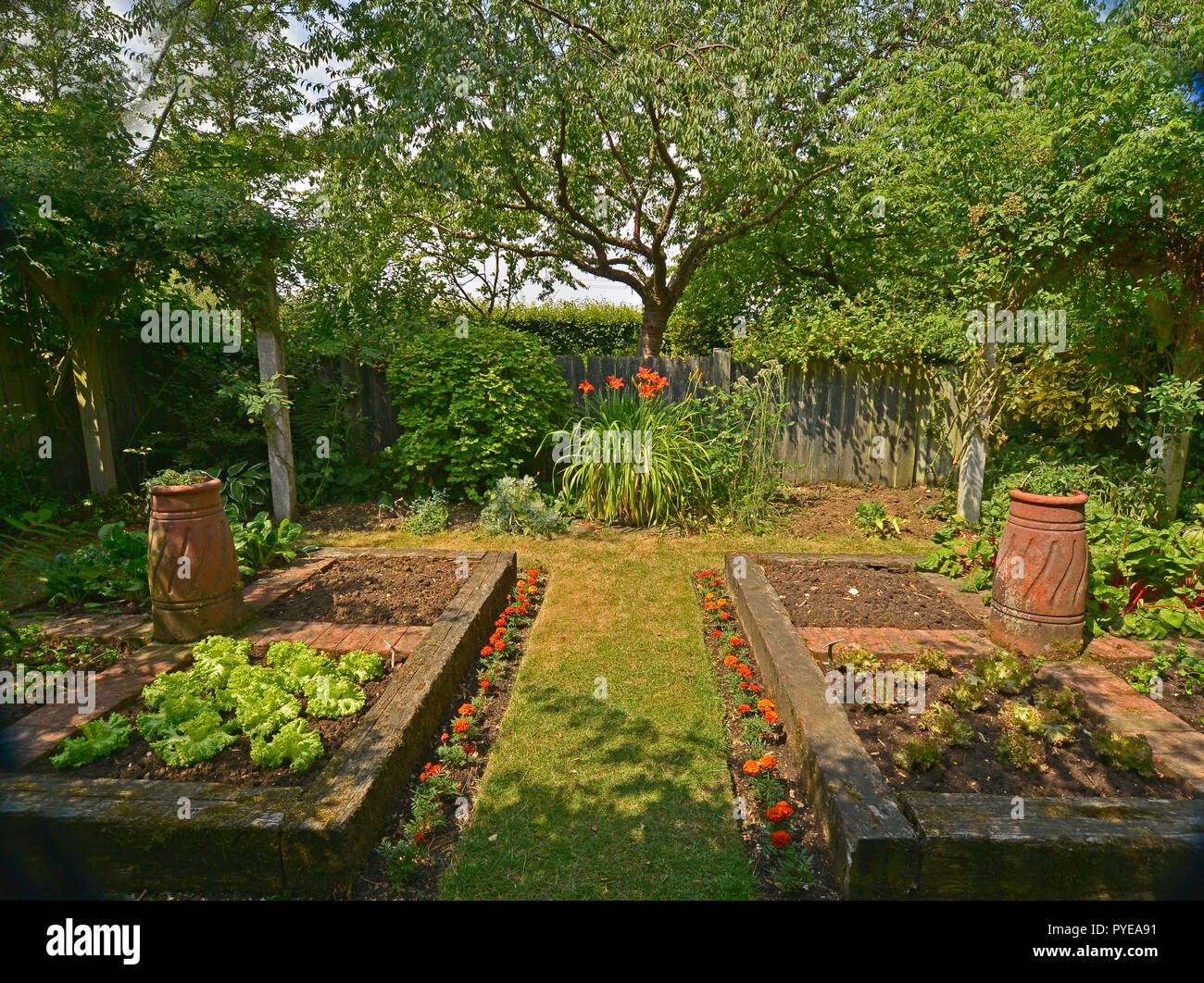 VEGETABLE GARDEN IN A PRIVATE GARDEN. AUGUST 2018. OAKHAM, RUTLAND, ENGLAND. Small planted enclosed vegetable gardens with raised beds Stock Photo