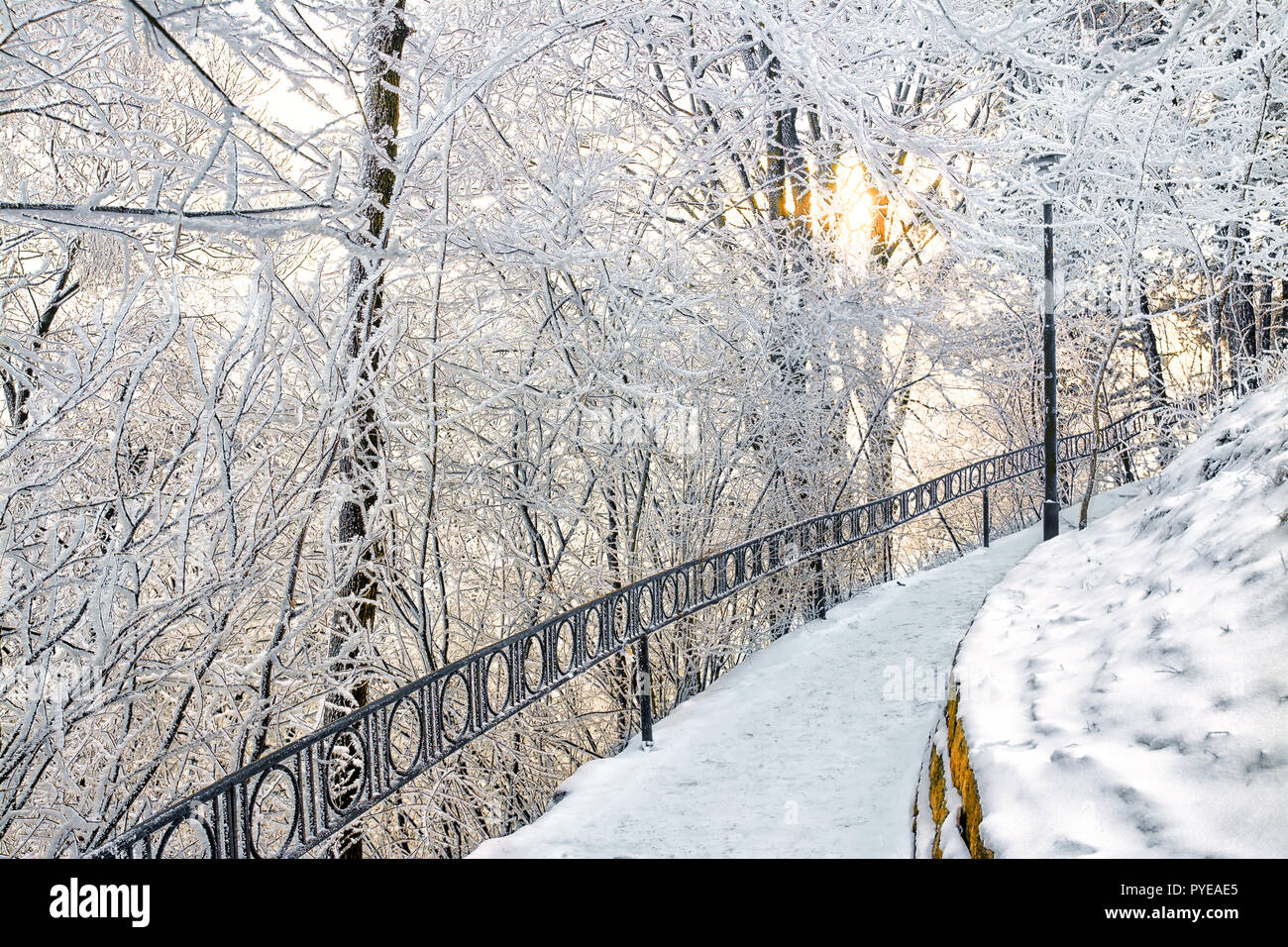 walk in the winter. first snow. coldly Stock Photo Alamy