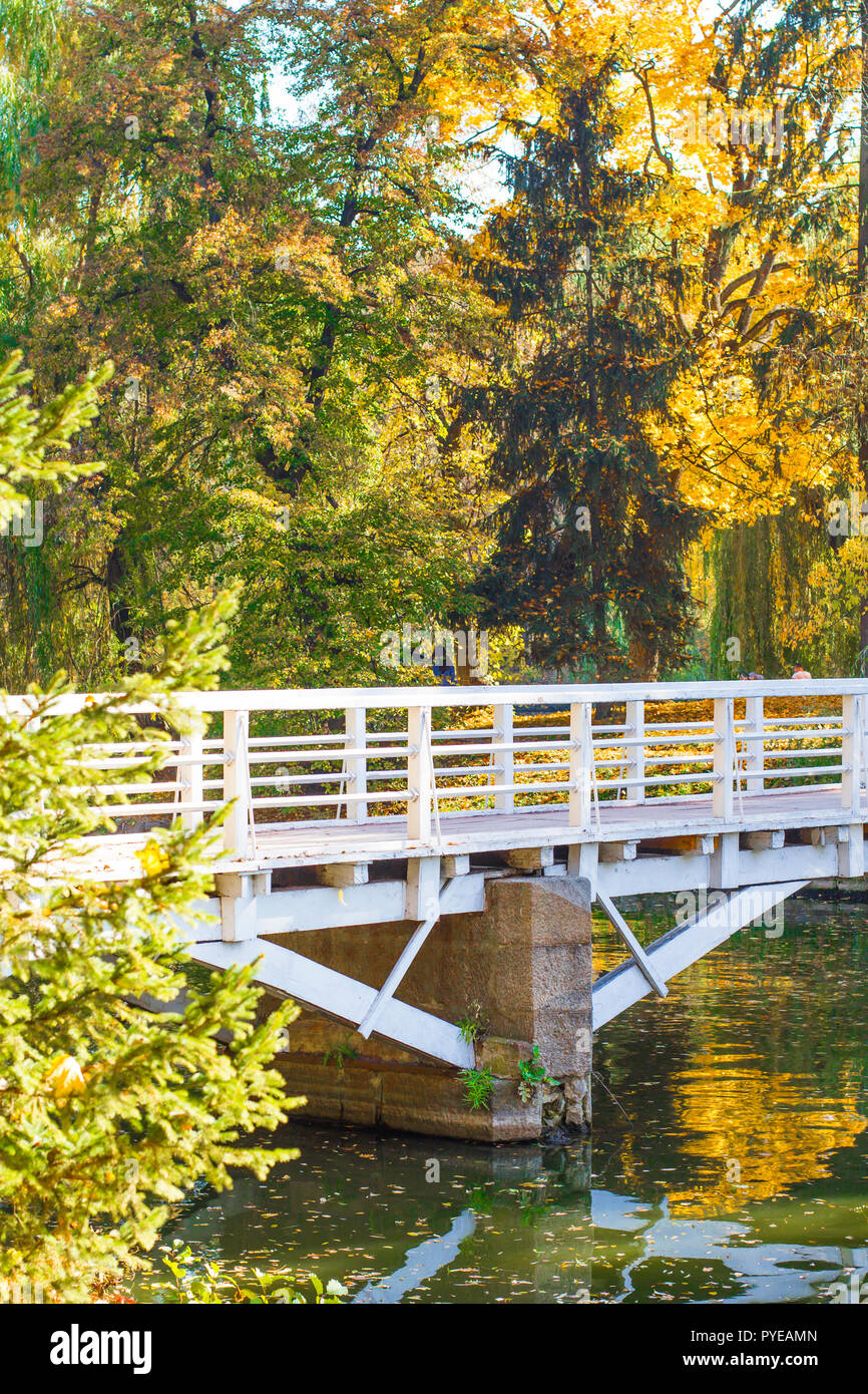 Wooden bridge over the river in the park Stock Photo - Alamy