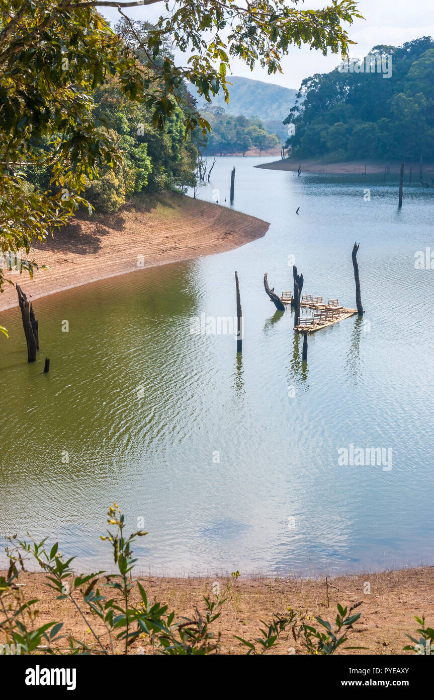 This amazing wildlife park is located in Kerala southern state of India. Sprawled over an area of 925 Sq .km., Periyar is one of the 27 tiger reserves Stock Photo