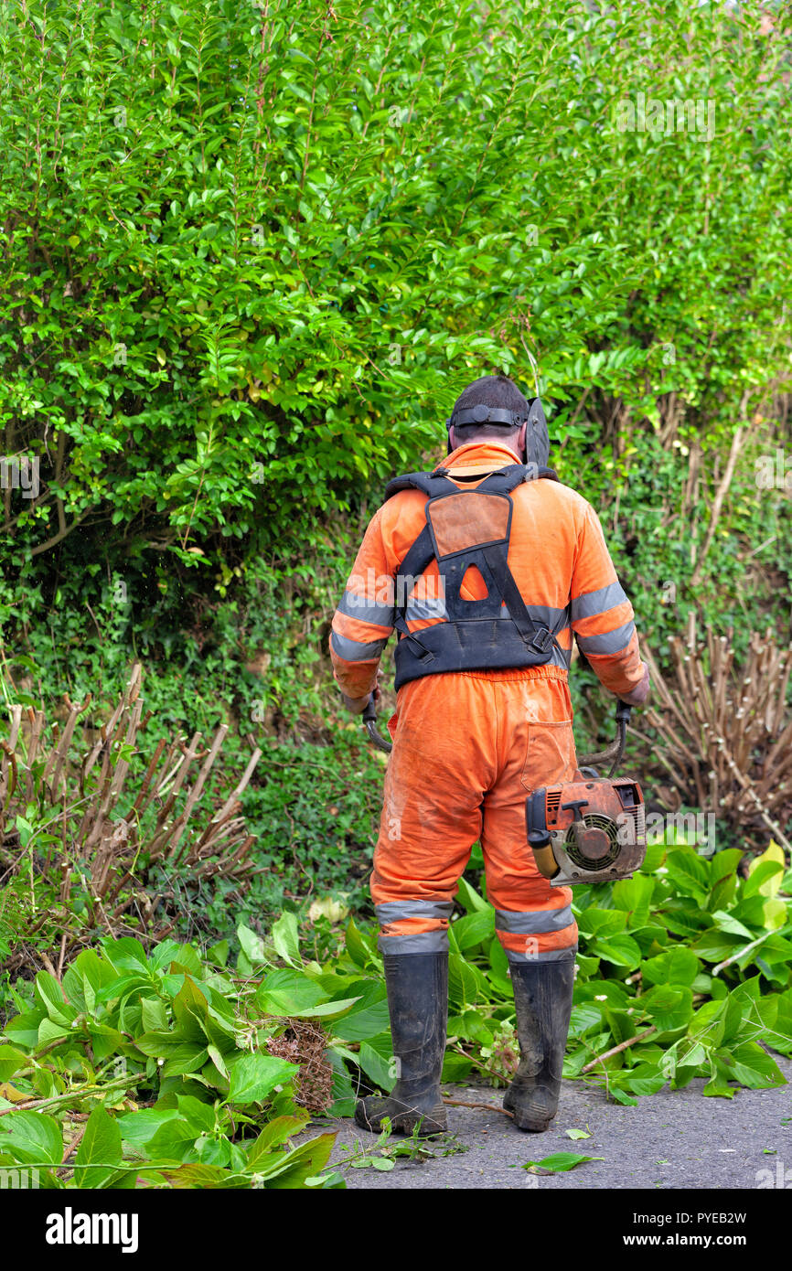 A man equipped with a brushcutter cleans a thicket. Stock Photo