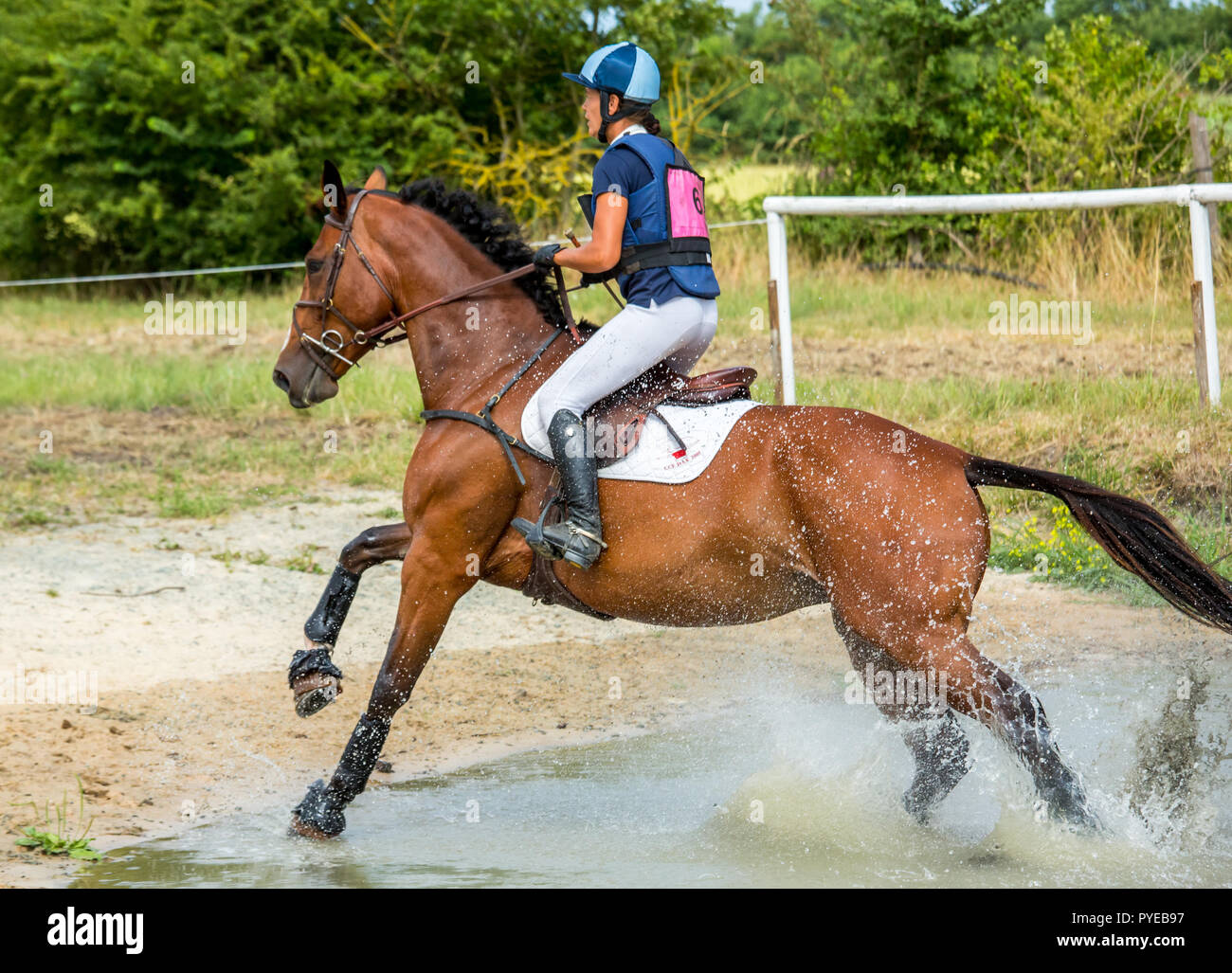 Horse rider crossing water equestrian hi-res stock photography and ...