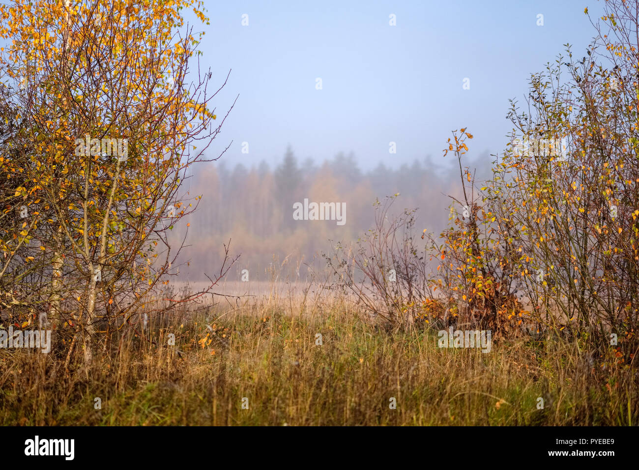 Aesthetically Pleasing Environment High Resolution Stock Photography ...
