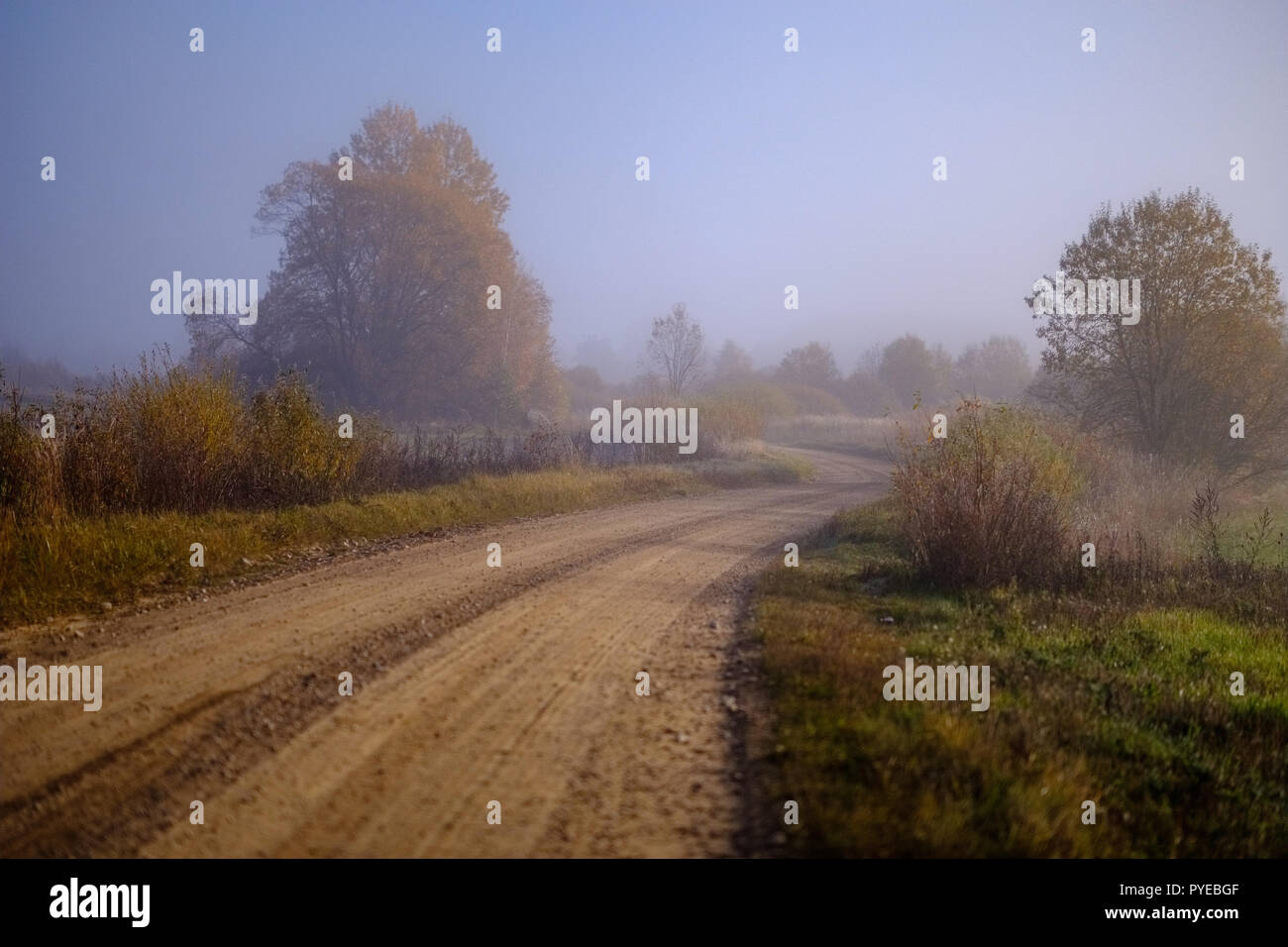 pleasing the senses or mind aesthetically country gravel road in autumn ...