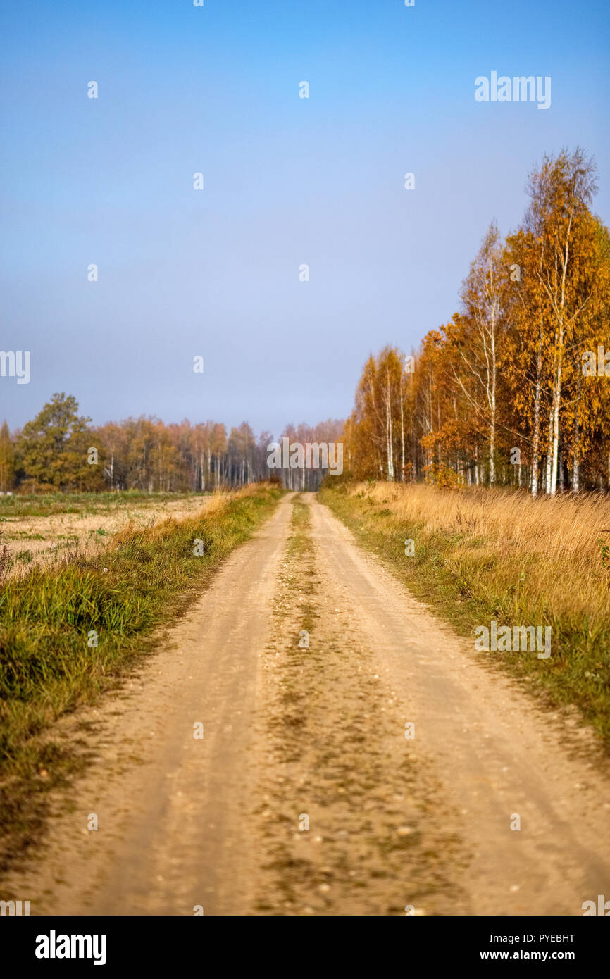 pleasing the senses or mind aesthetically country gravel road in autumn ...