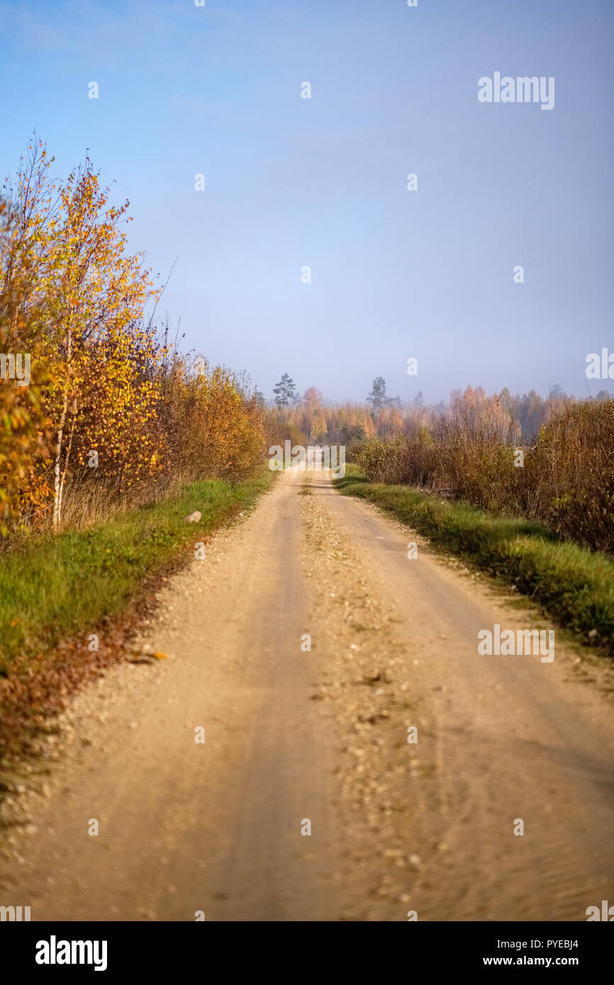 pleasing the senses or mind aesthetically country gravel road in autumn ...