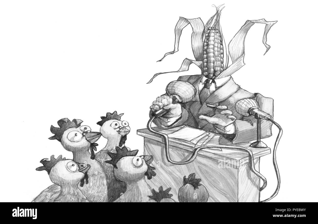 run with the head to form of corncob attracts hens as electors political cartoon humor concept draw Stock Photo