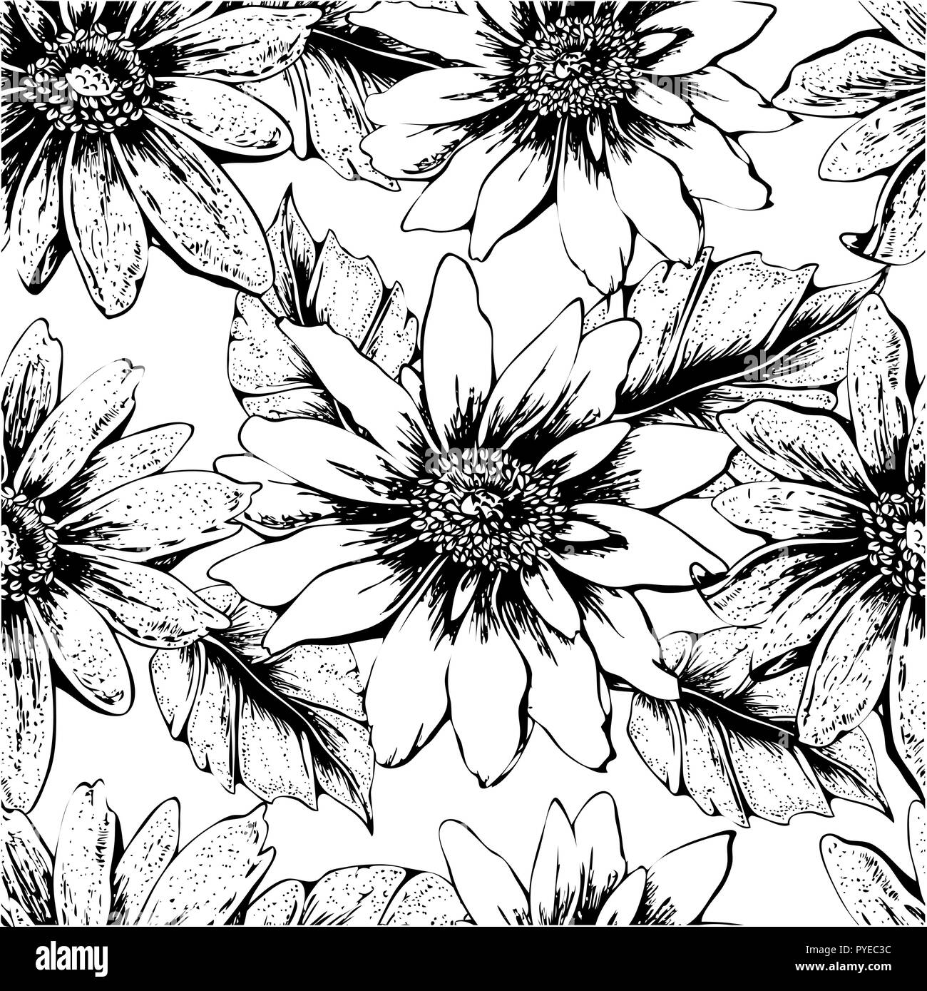 Black And White Sunflower Seamless Pattern Without Background For