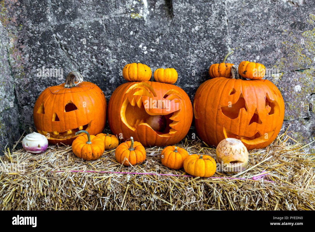 Carved Halloween pumpkins (Corfe Castle, Dorset, UK) Stock Photo