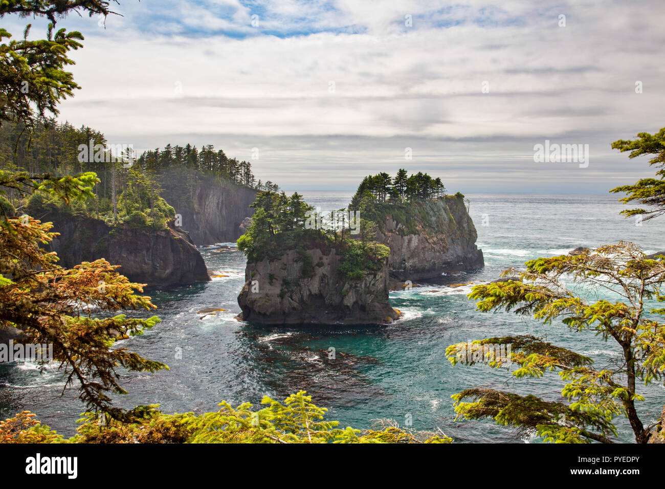 cape-flattery-washington-hi-res-stock-photography-and-images-alamy