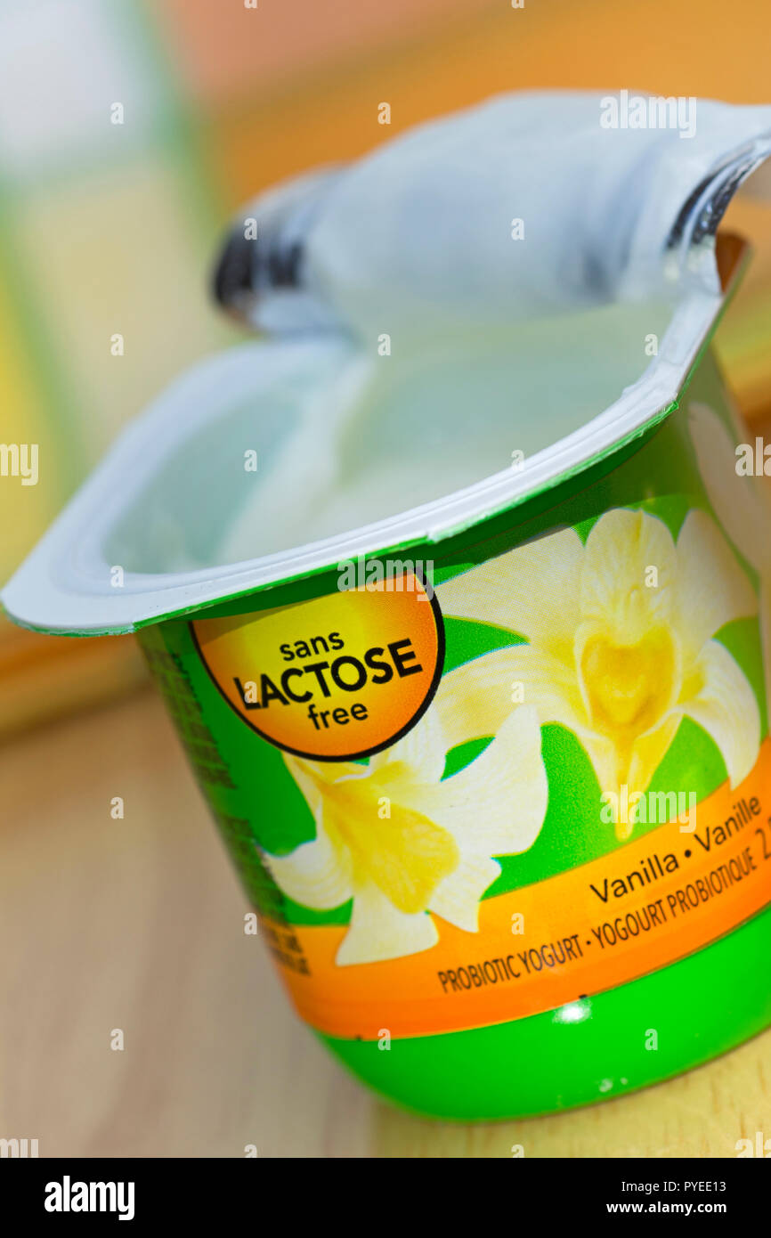 Lactose Free Yogurt Stock Photo