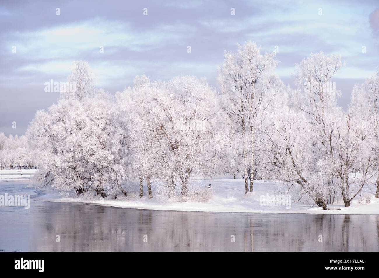 River flowing through winter landscape. Trees covered with frost Stock ...