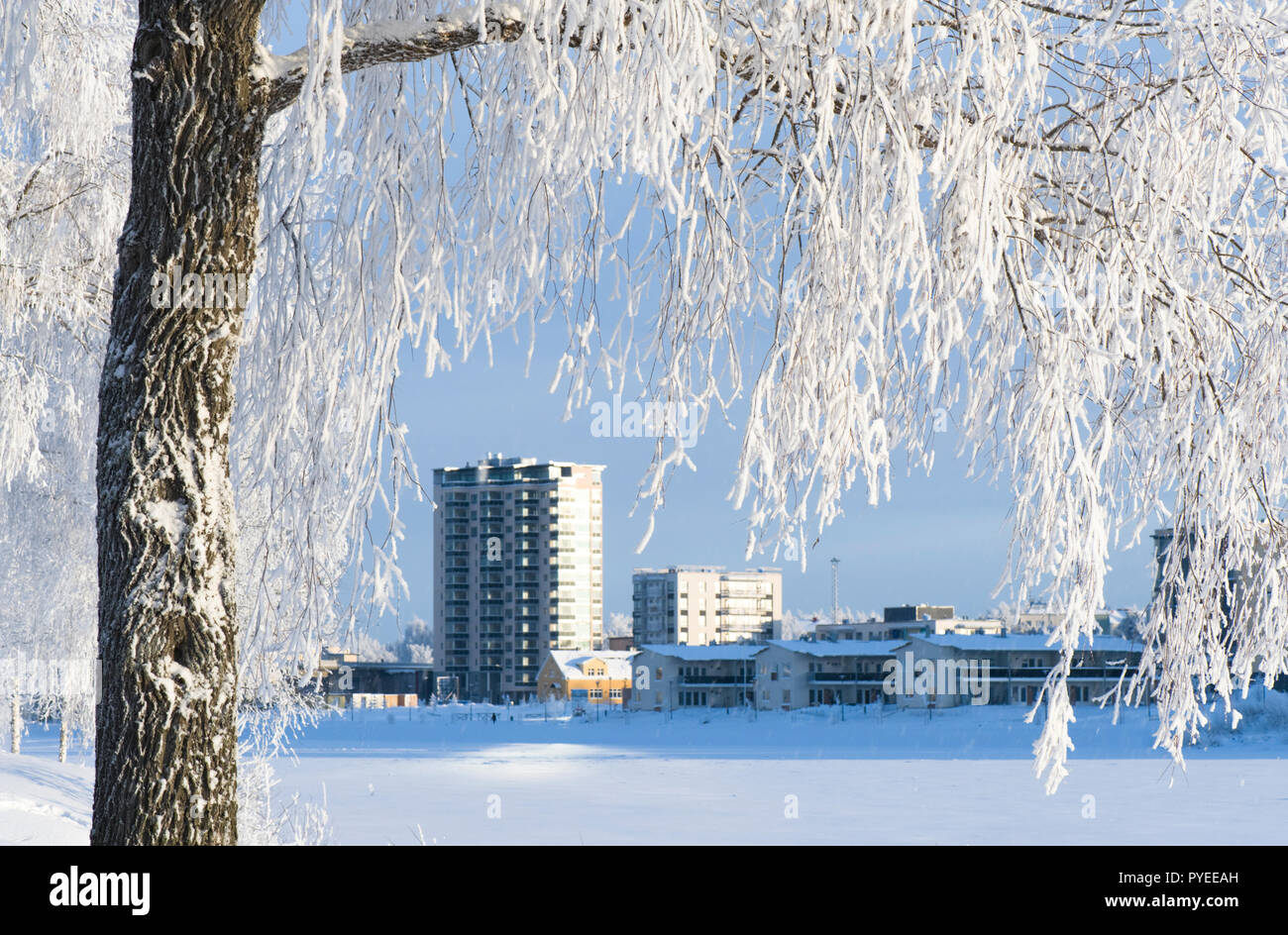 Winter urban landscape snow hi-res stock photography and images - Alamy