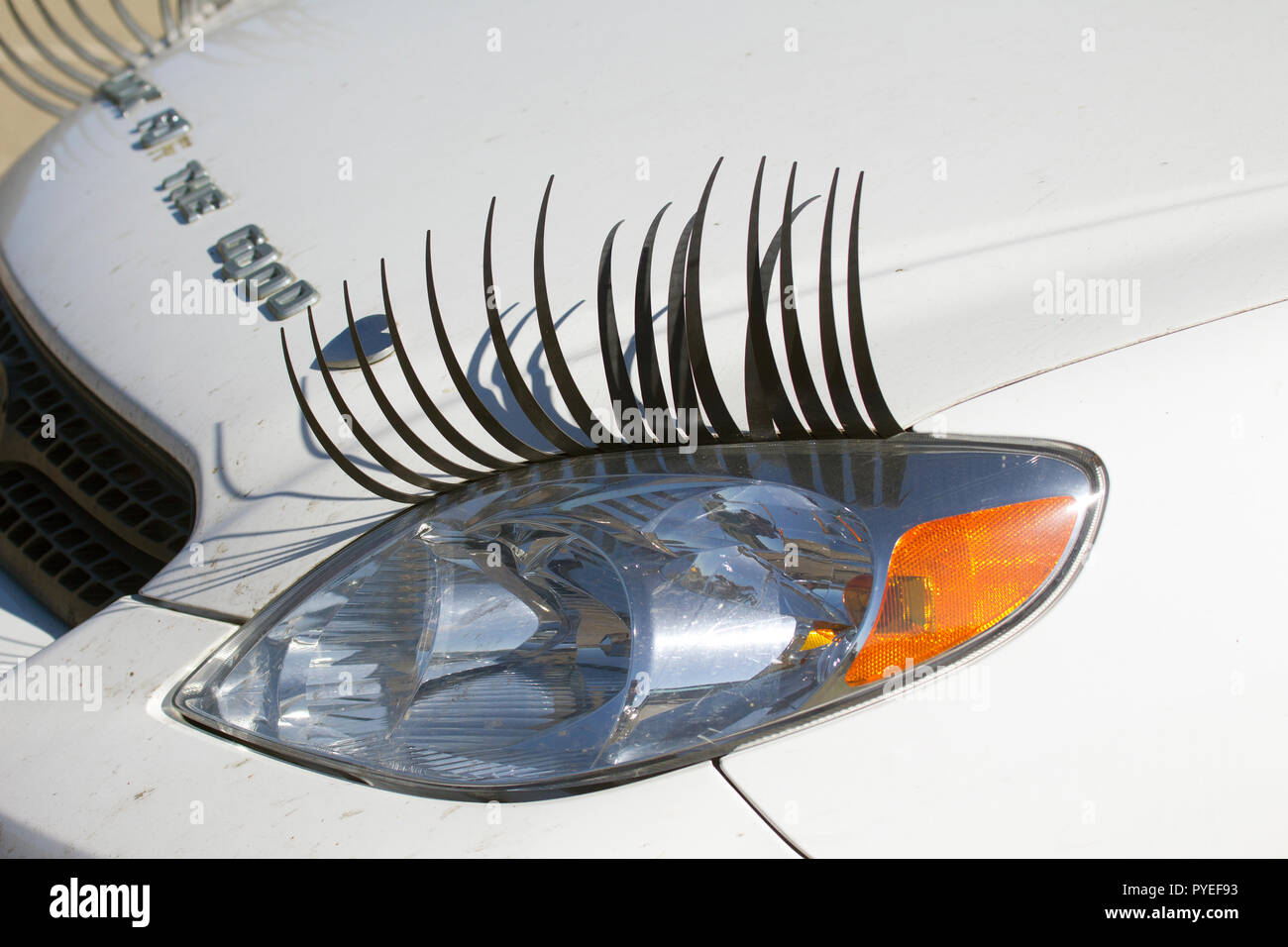Eyelashes on Car Headlight Stock Photo