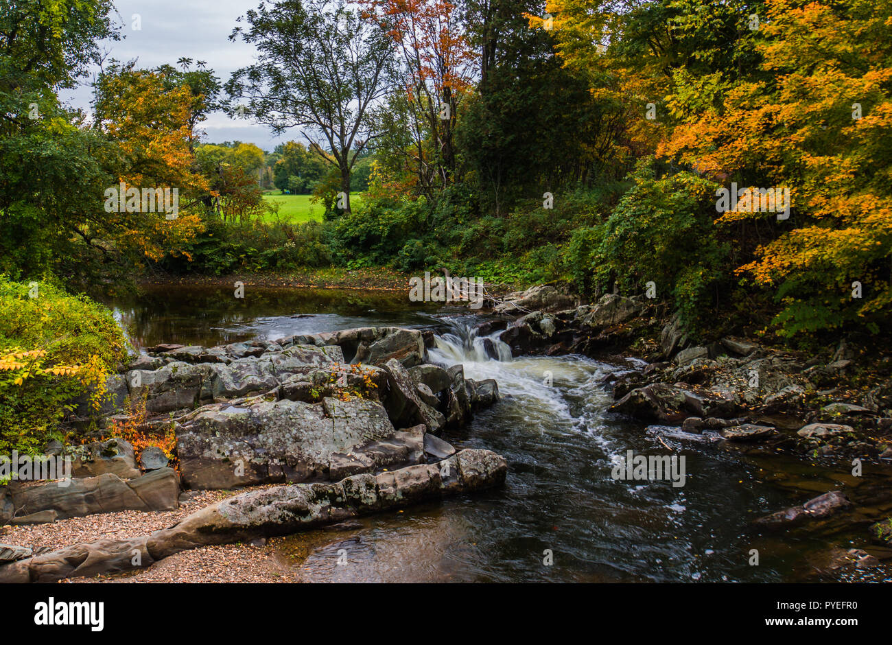 water flowing over rocky creek bed with golden hues of fall autumn foliage Stock Photo