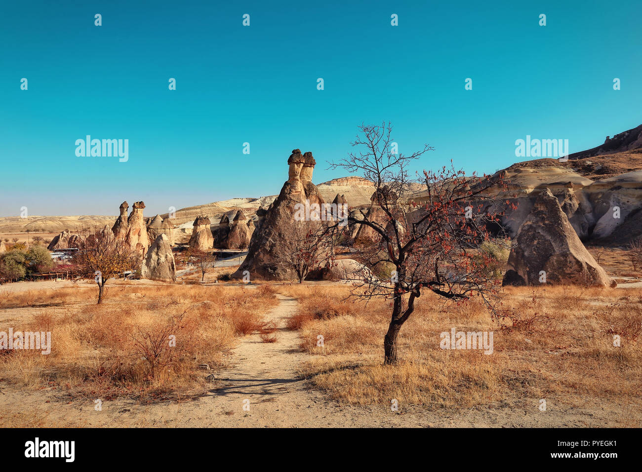 Cappadocia, Turkey. Fairy Chimney. Multihead stone mushrooms in the Valley of the Monks. Pasabag Valley Stock Photo