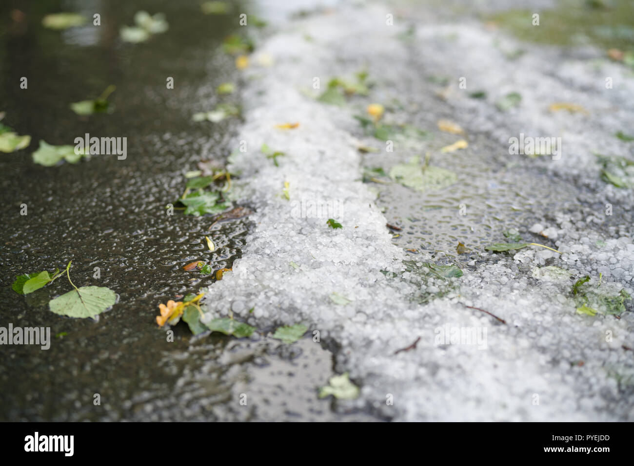 steet covered with hailstones after hailstorm, closeup Stock Photo