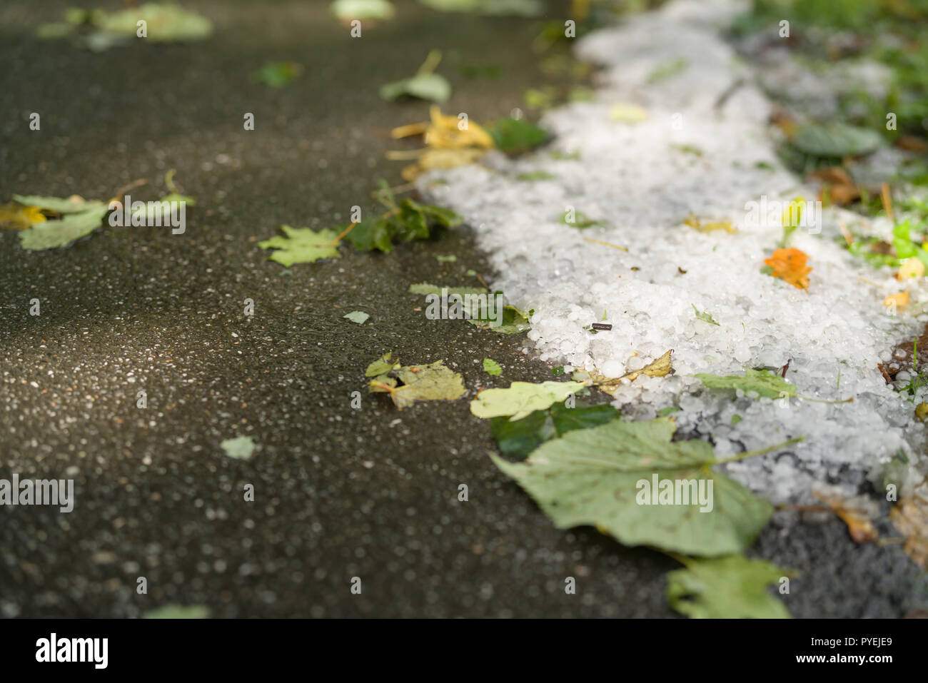 steet covered with hailstones after hailstorm, closeup Stock Photo