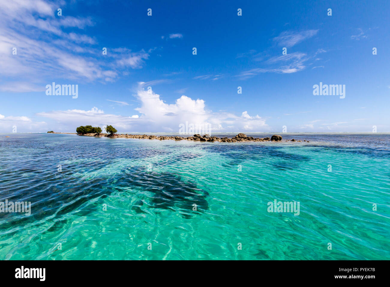 Azure turquoise blue lagoon, corals, small uninhabited reef island motu, dangerous rocks, some mangroves trees, Pohnpei island, Micronesia,  Oceania Stock Photo