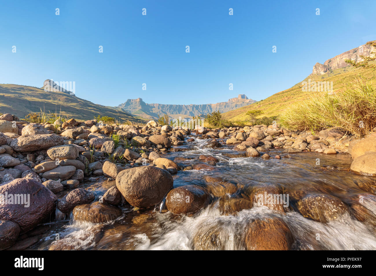 Looking up to the 'Amphitheatre'  in the northern Drakensberg from the Tugela River, Royal Natal National Park, KwaZulu-Natal, South Africa. Stock Photo