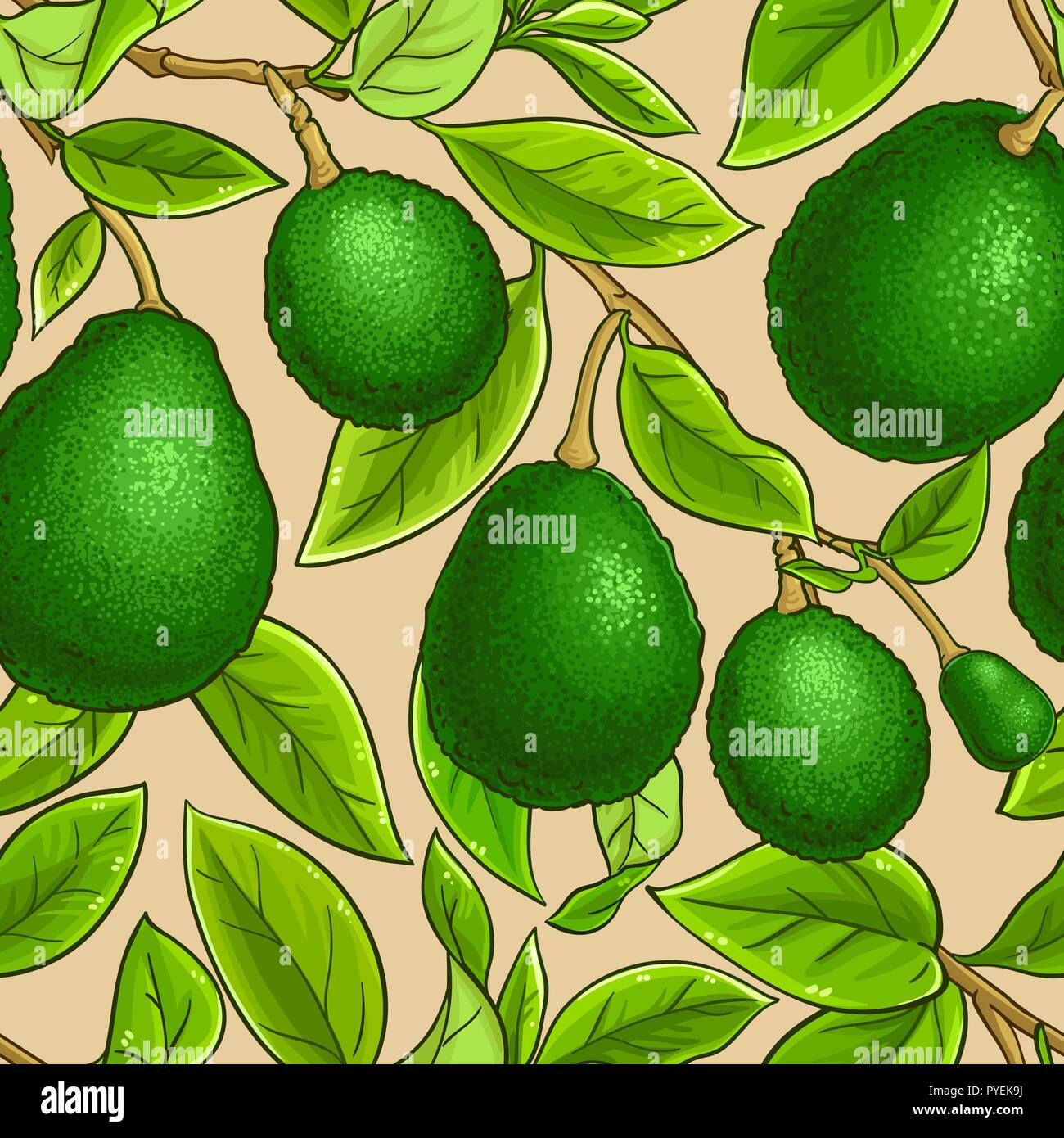 avocado vector pattern on color background Stock Vector