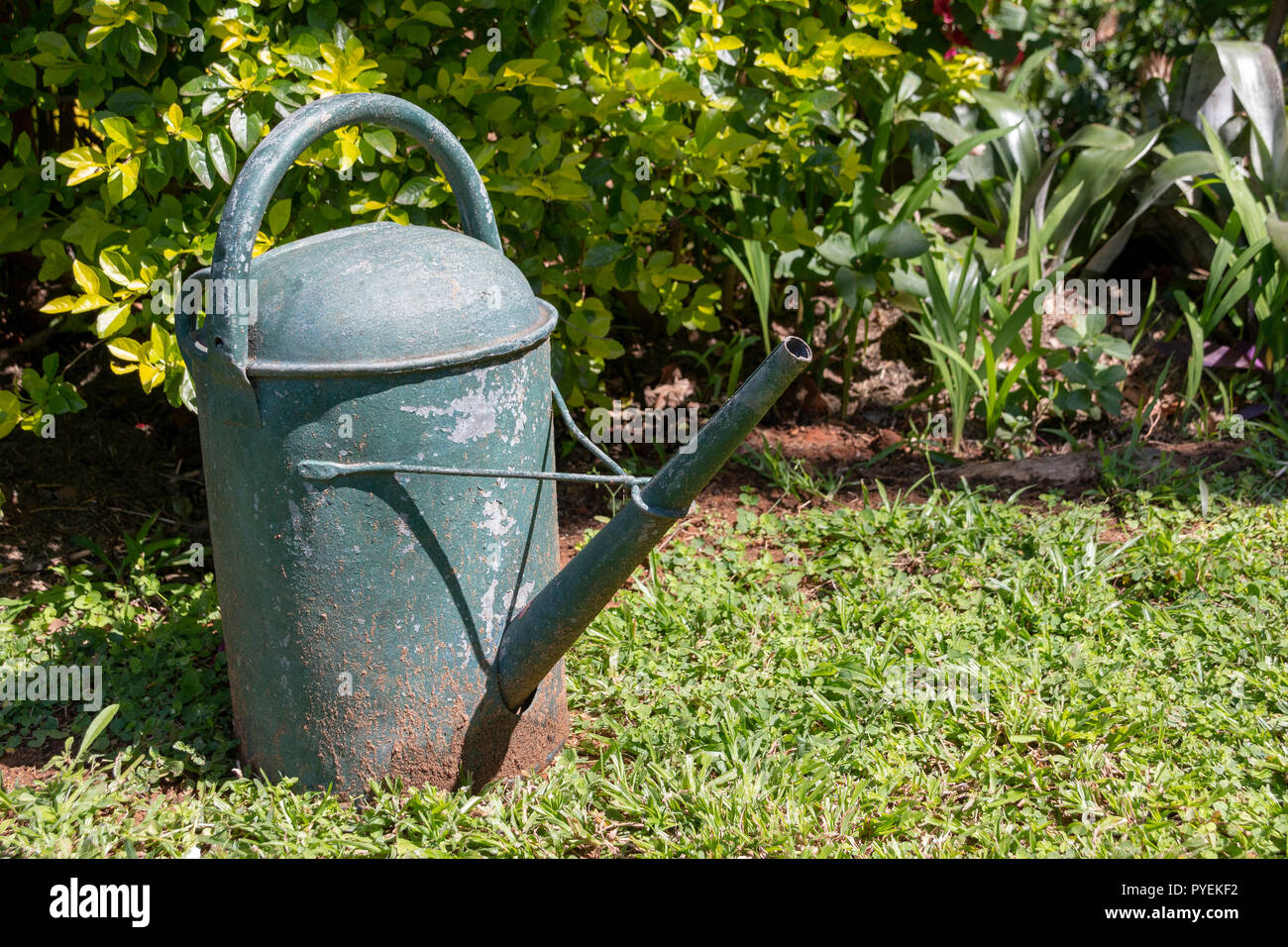 A close up side view of a old rusted green metal water can in the outdoor garden Stock Photo