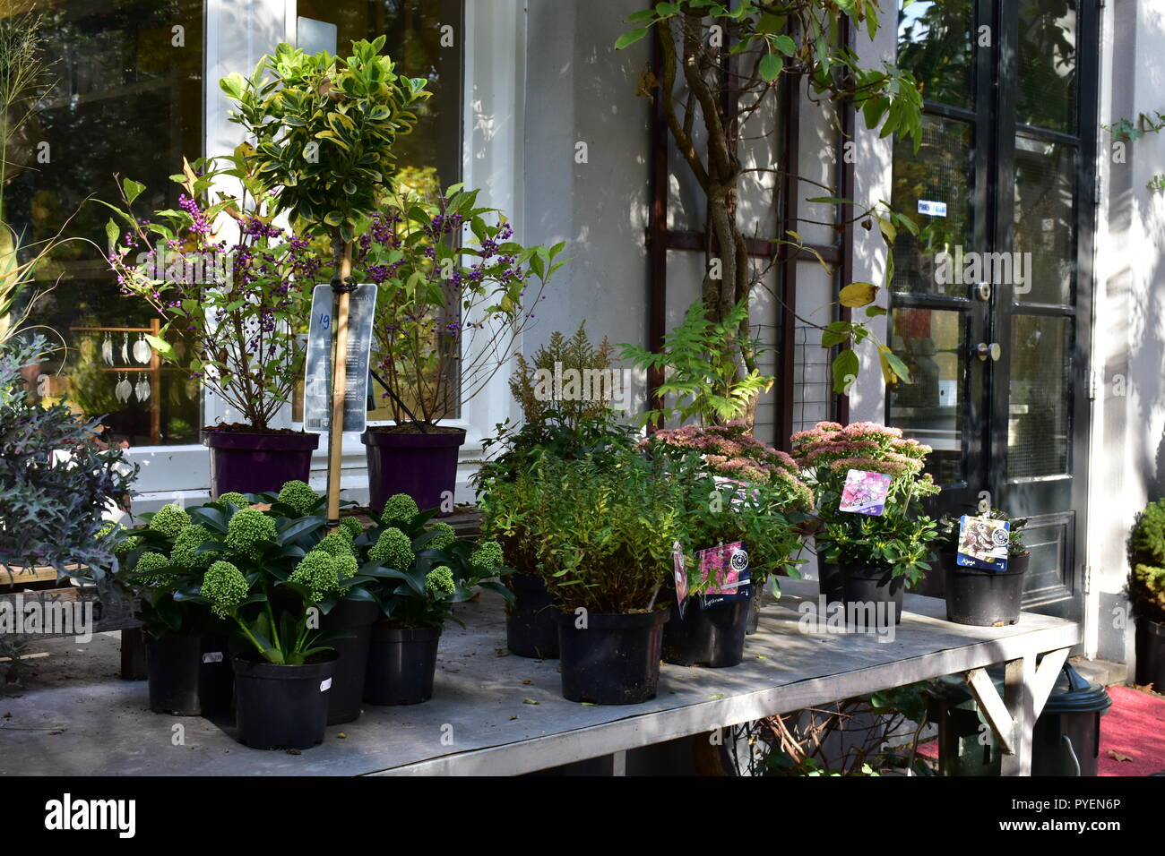 Garden shop Stock Photo Alamy