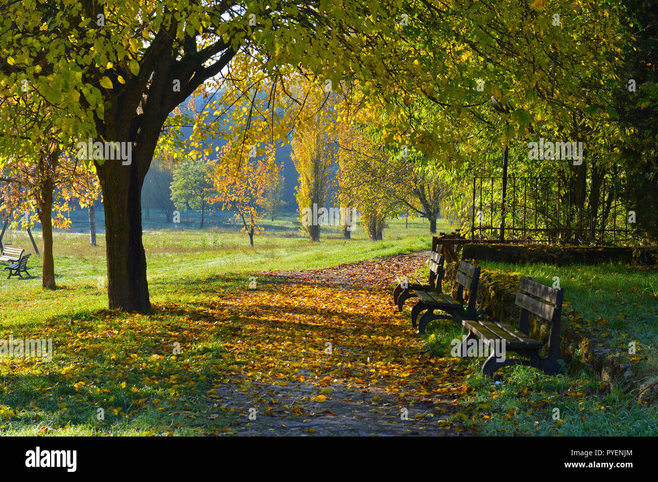 A quiet autumn walk Stock Photo