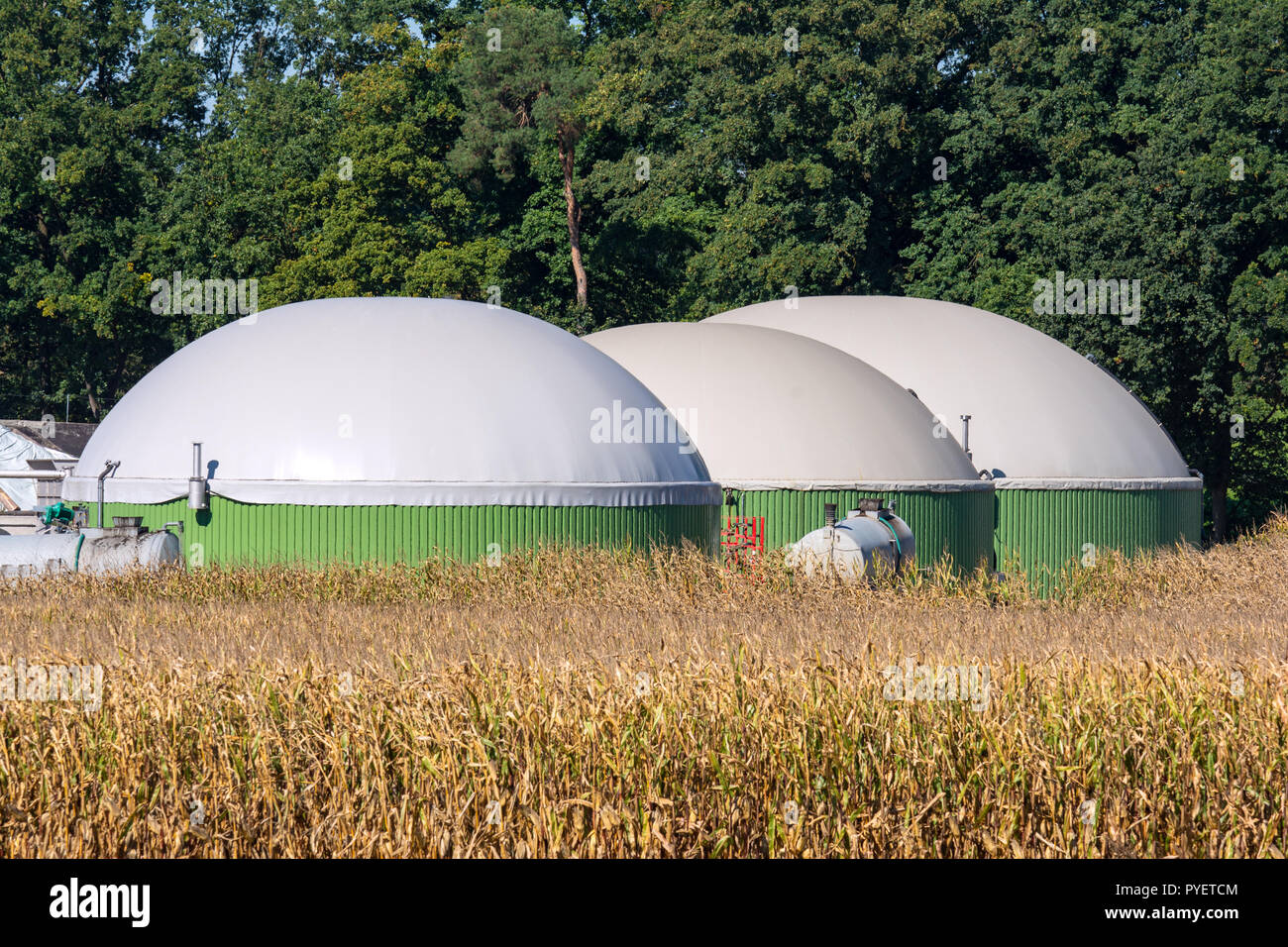 Facility for bio energy production Stock Photo
