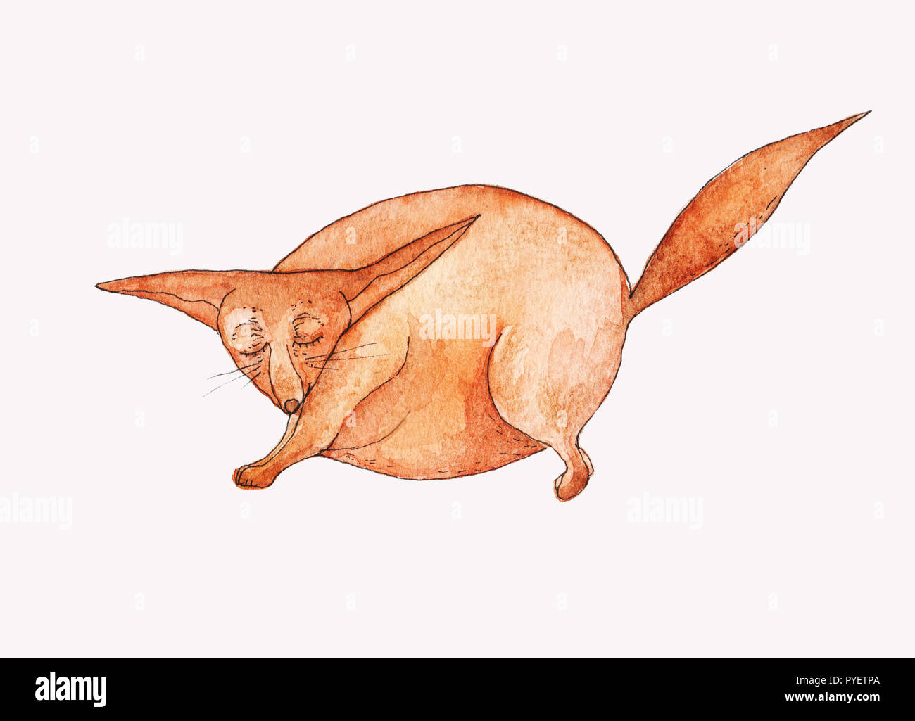 Watercolour red cartoon fat fox isolated on white background. Cute, funny animal, fox character used for magazine, children's book, poster, card, web  Stock Photo