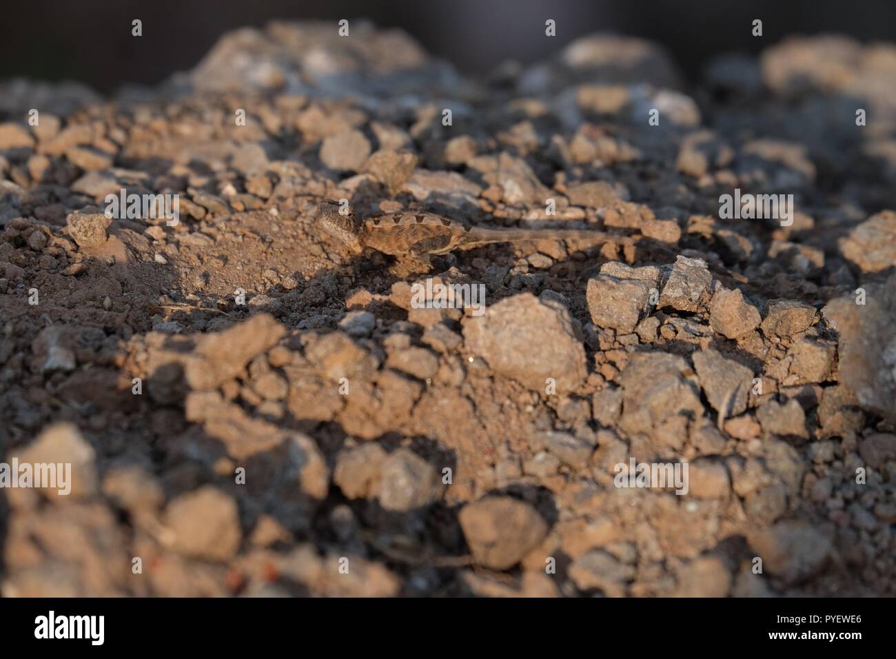 Pile Of Rock At Construction Site Stock Photo - Alamy