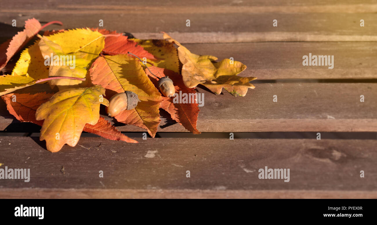 autumn leaves table boards wood foliage decorate season Stock Photo