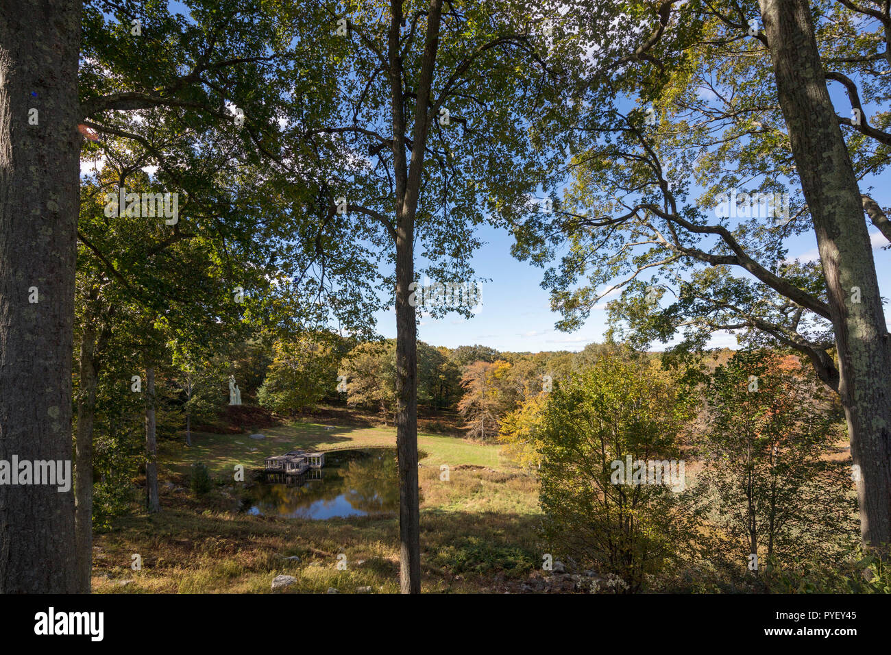 The Glass House, or Johnson house, built in 1949, is now a historic