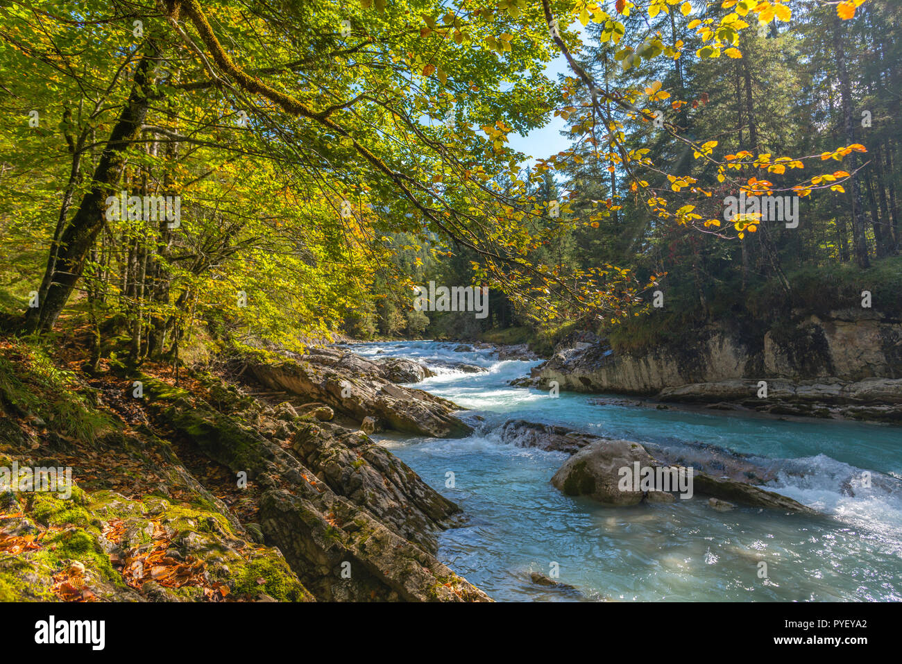 Riss creek hi-res stock photography and images - Alamy