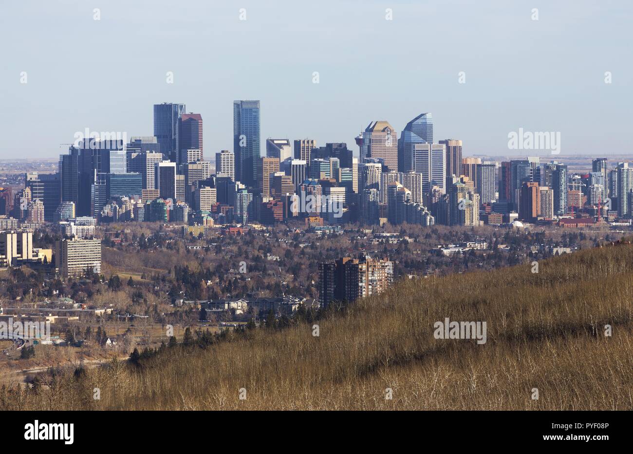 City of Calgary Downtown Skyline with Tall Highrise Buildings on Horizon and Green Prairie Grass Foreground, Southern Alberta Canada Stock Photo