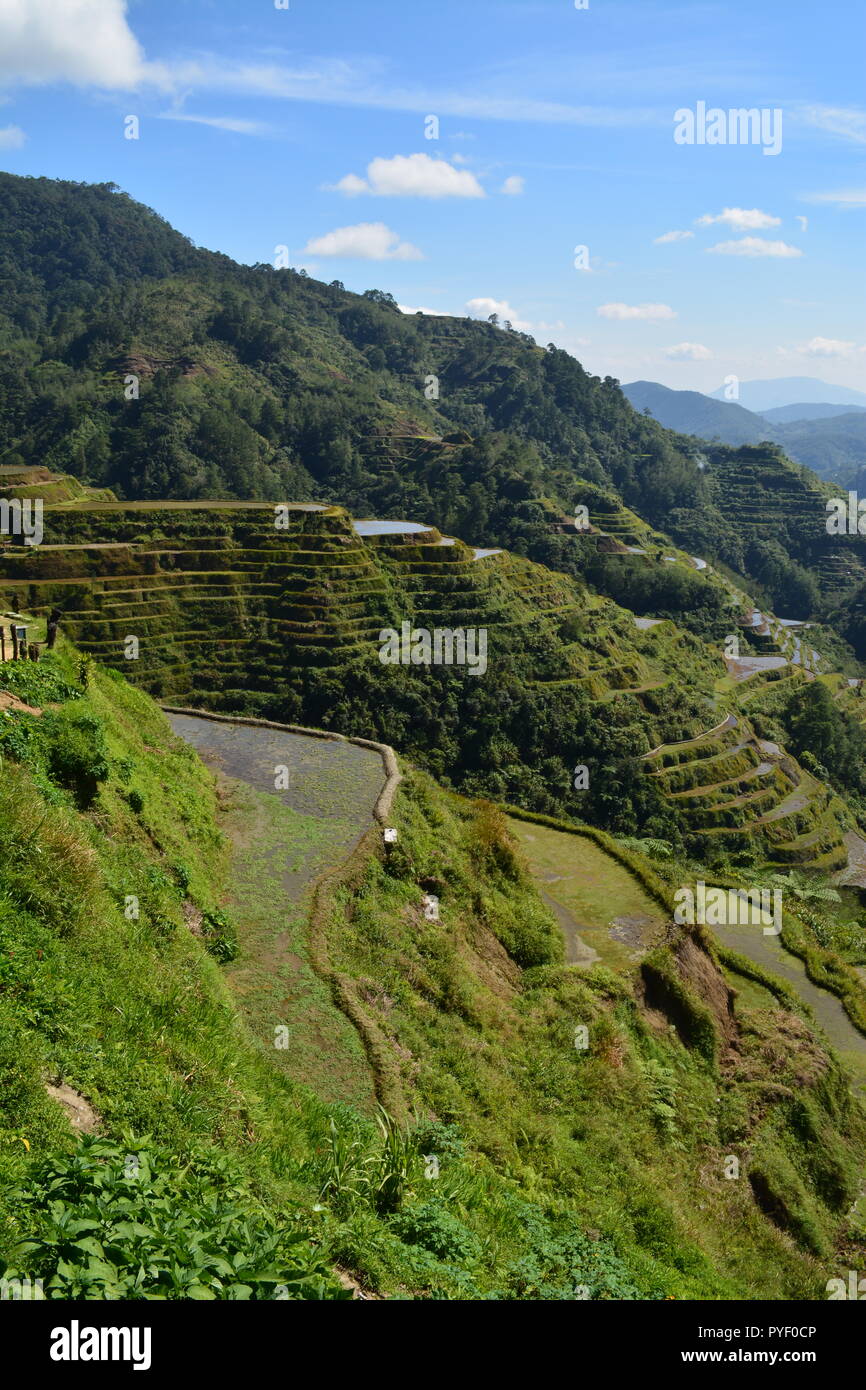 Banaue Banawe Rice Terraces Ifugao Philippines Stock Photo - Alamy