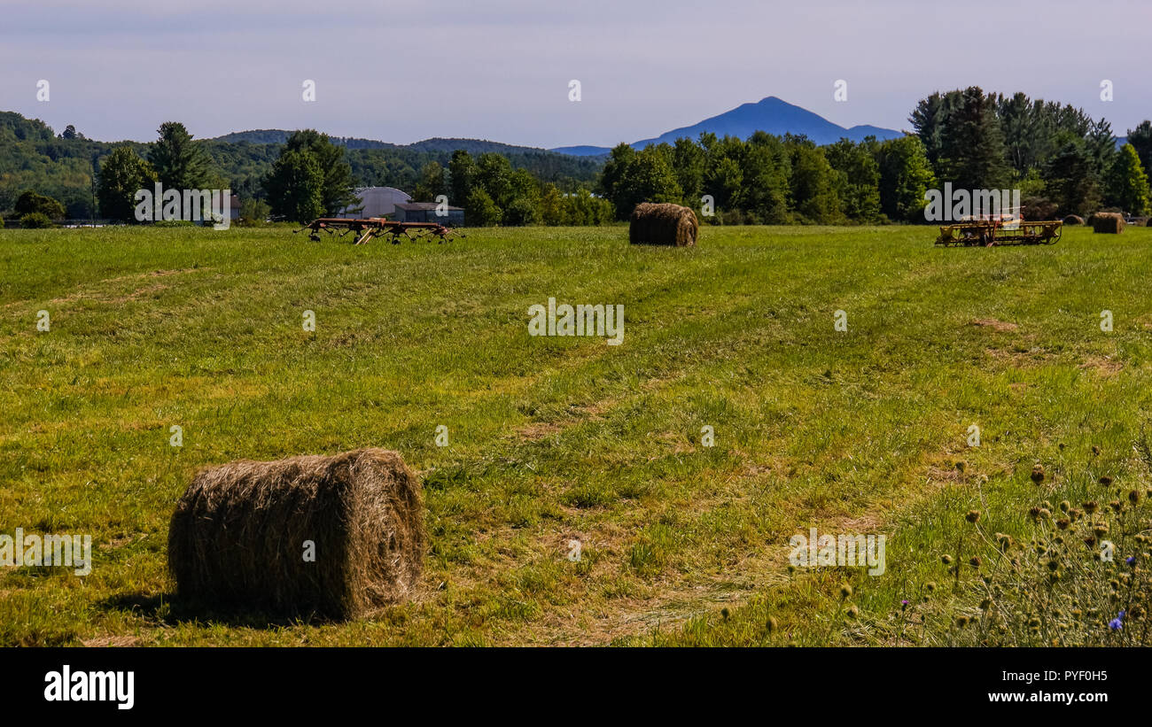 round bales of hay left on the fields after mowing in late summer with view of Camels Hump Mountain  Vermont Stock Photo