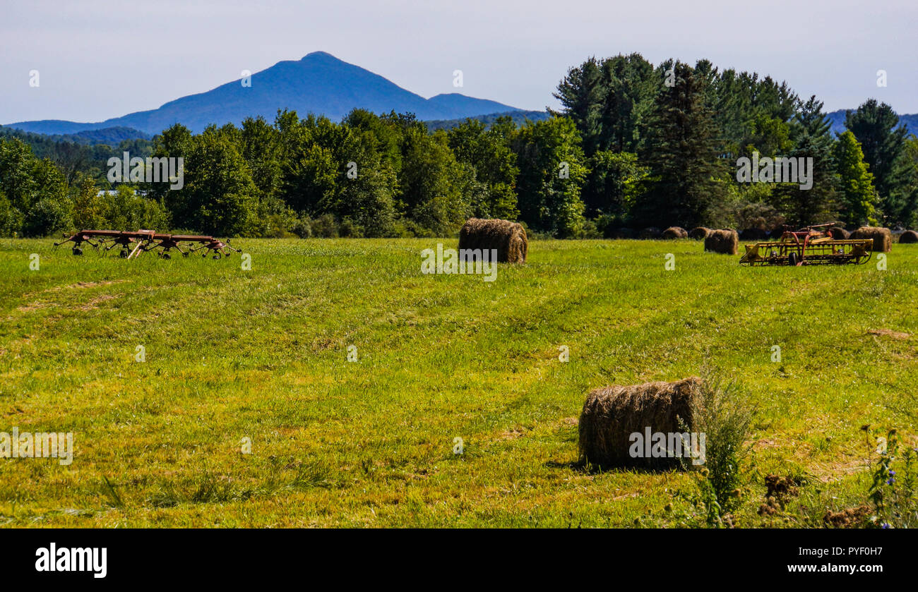 round bales of hay left on the fields after mowing in late summer with view of Camels Hump Mountain  Vermont Stock Photo