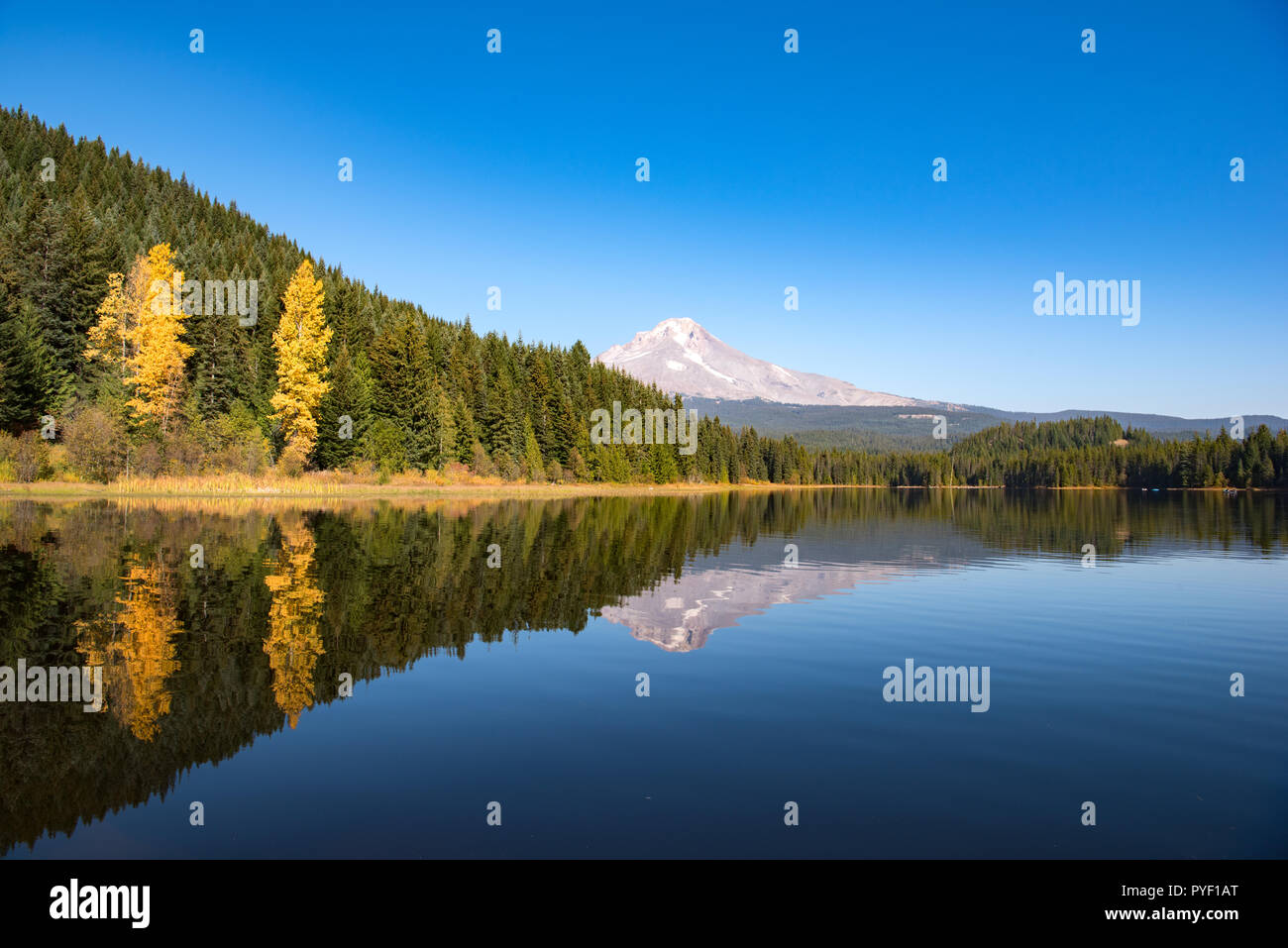 Trillium Lake near Mt. Hood, Oregon, USA Stock Photo Alamy
