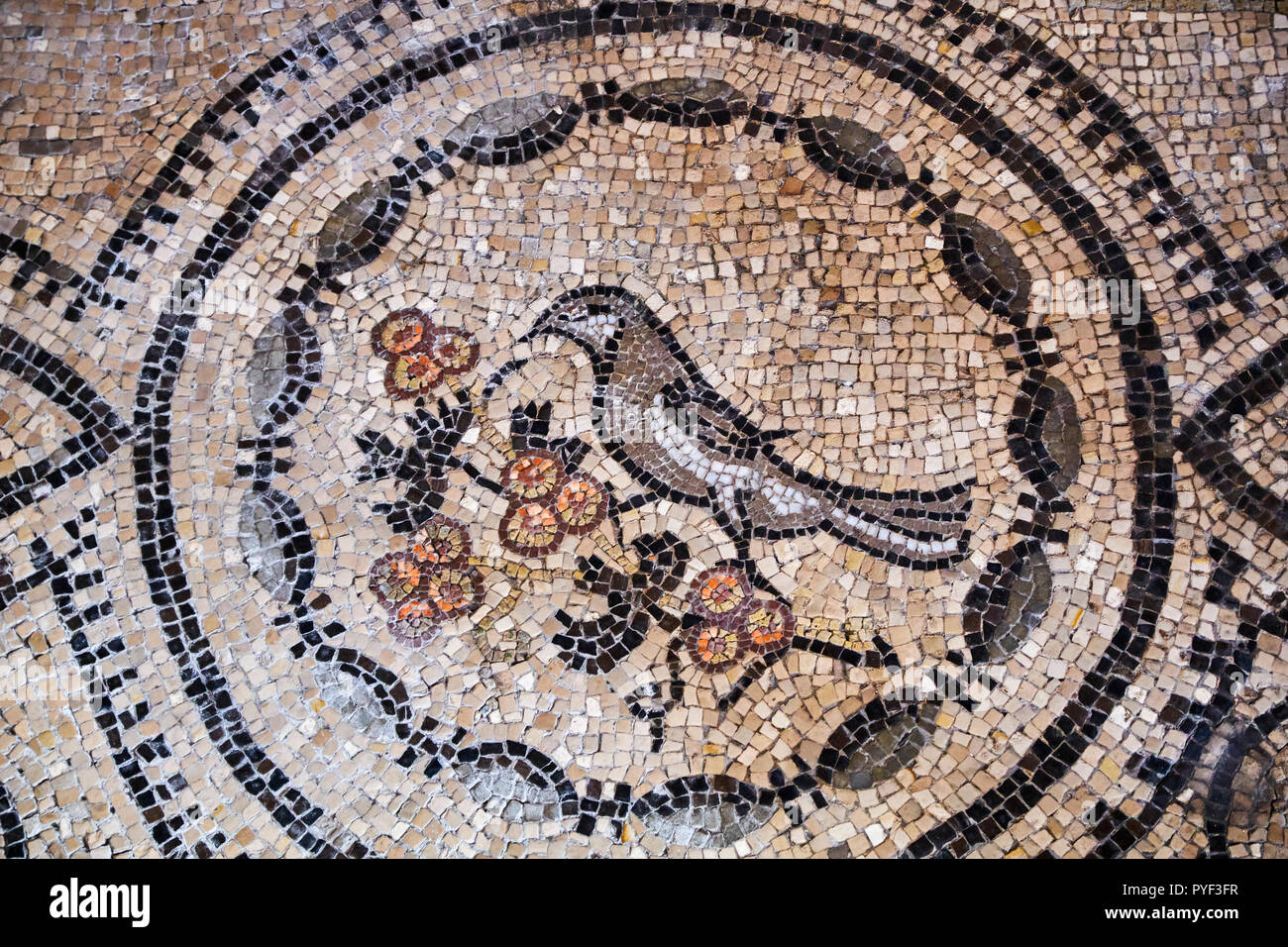 Italy, Friuli Venezia Aquilee, Aquileia, Patriarchal Basilica of Santa Maria Assunta, mosaic from 4th century Stock Photo