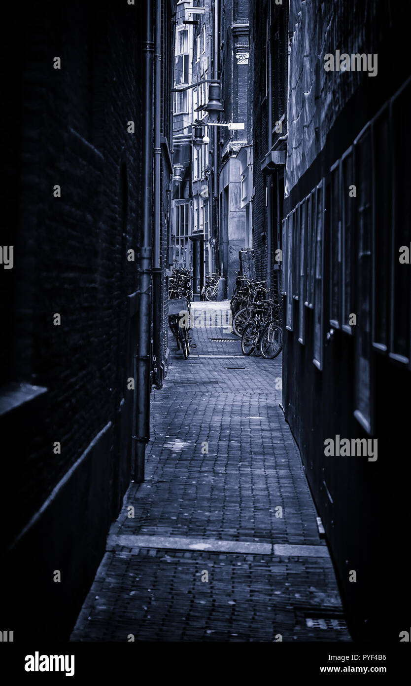 Amsterdam Alley Dutch City Street Tourism In Europe Stock Photo Alamy