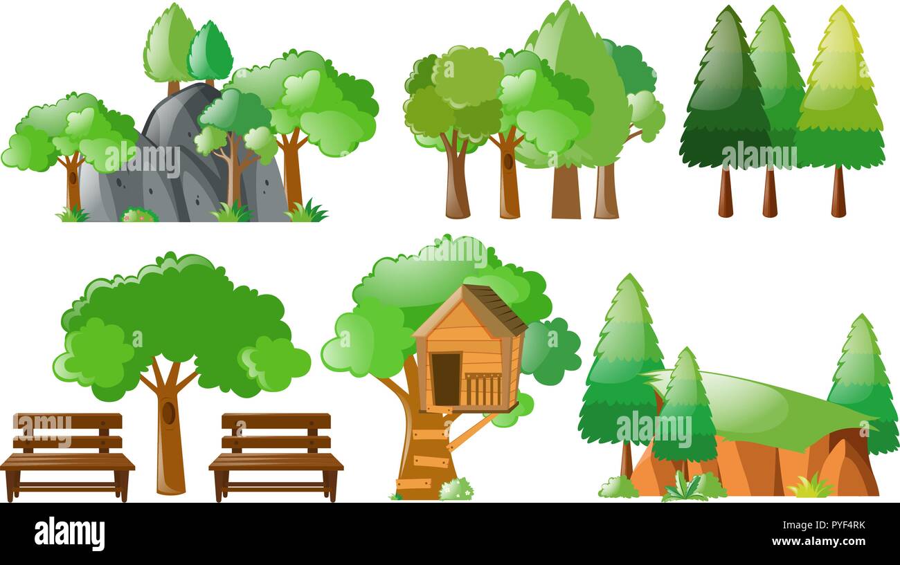 Different forest and park elements illustration Stock Vector Image ...