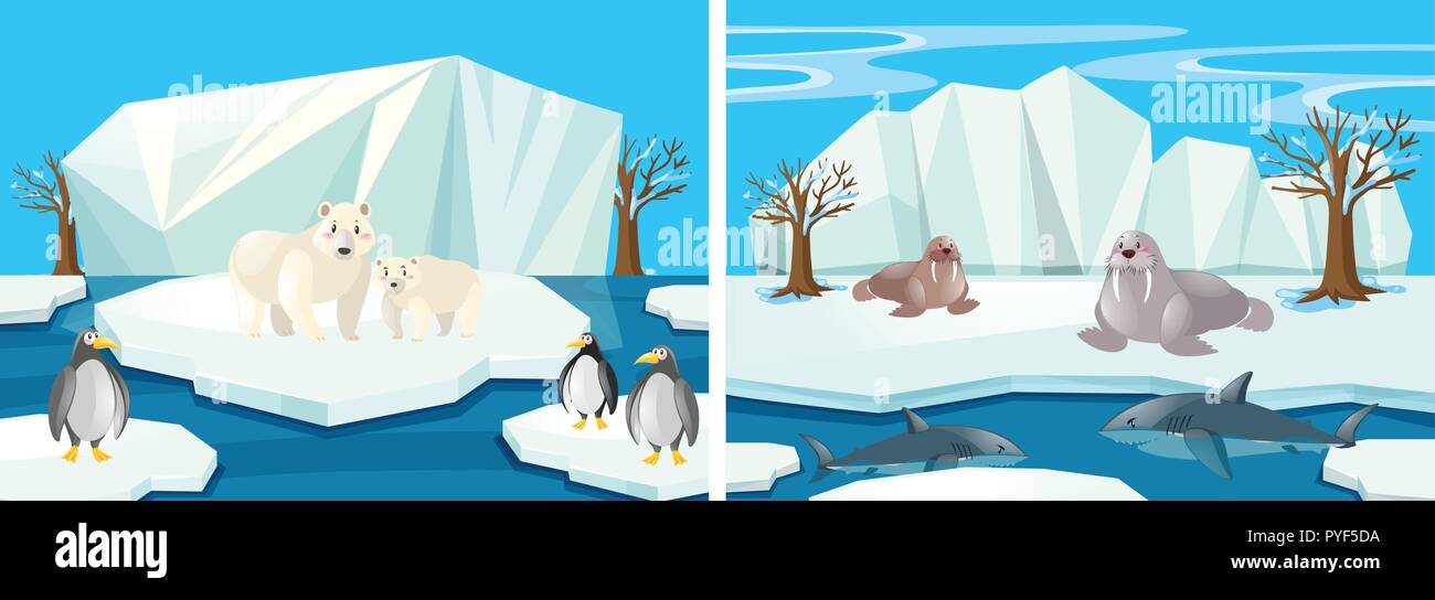 Many animals in the north pole illustration Stock Vector Image &amp; Art ...