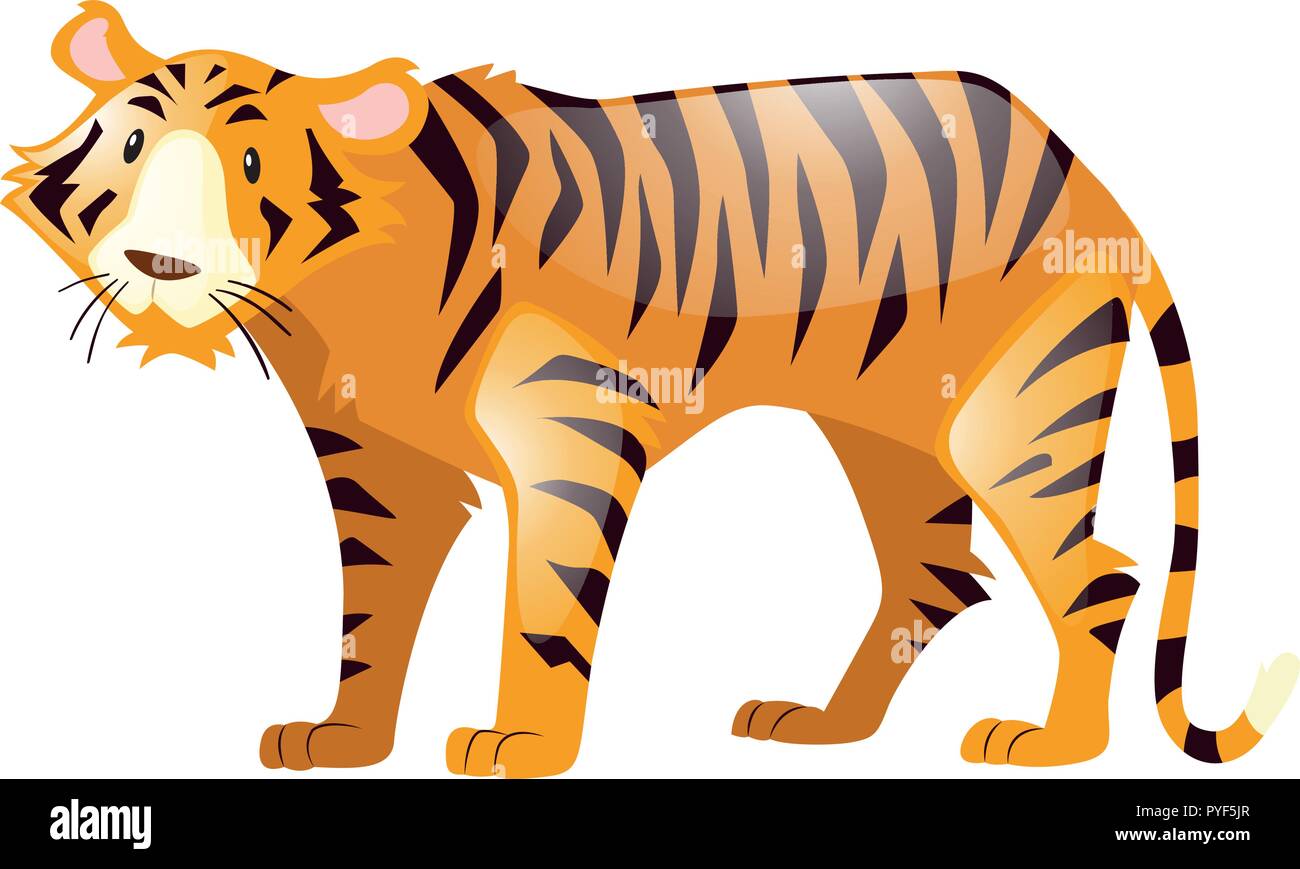 Wild tiger on white background illustration Stock Vector Image & Art ...