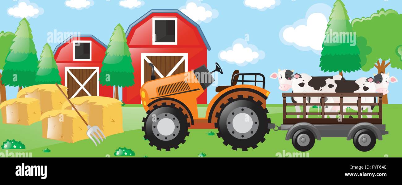 Cows on tractor in the farm illustration Stock Vector Image & Art - Alamy