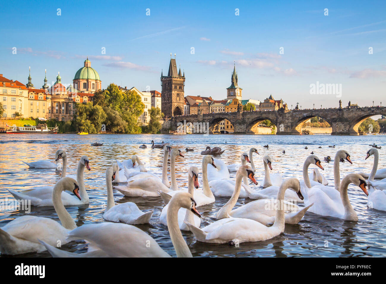 Charles Bridge and old town in Prague, Czech Republic. Stock Photo