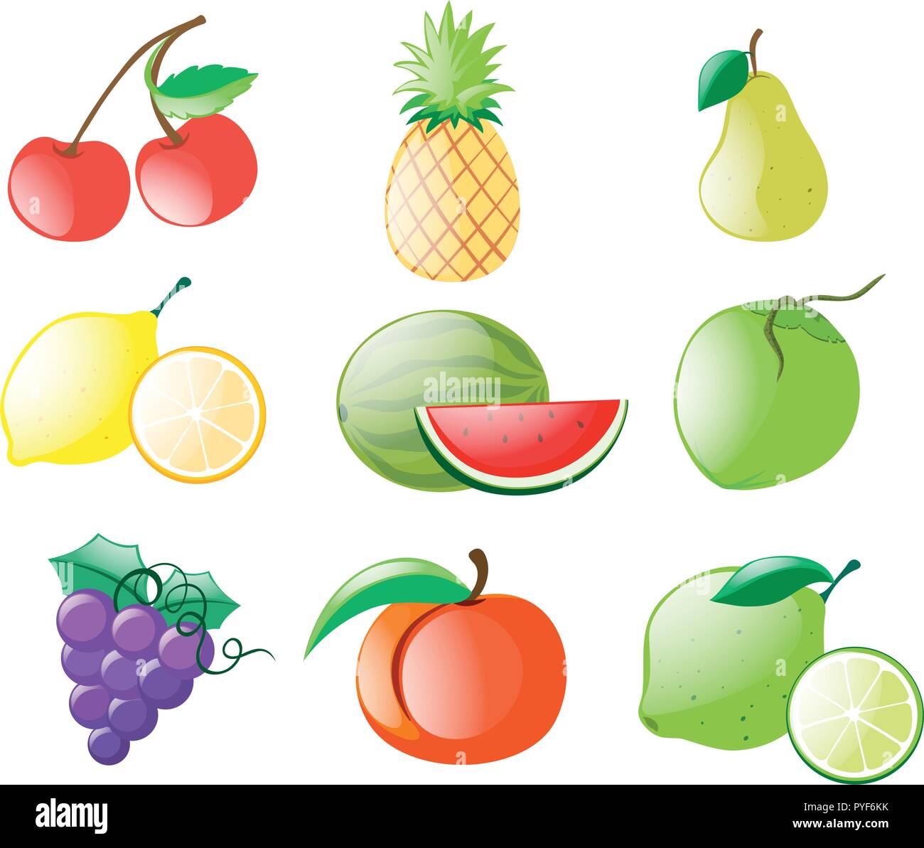 Different types of fruits illustration Stock Vector Image & Art Alamy